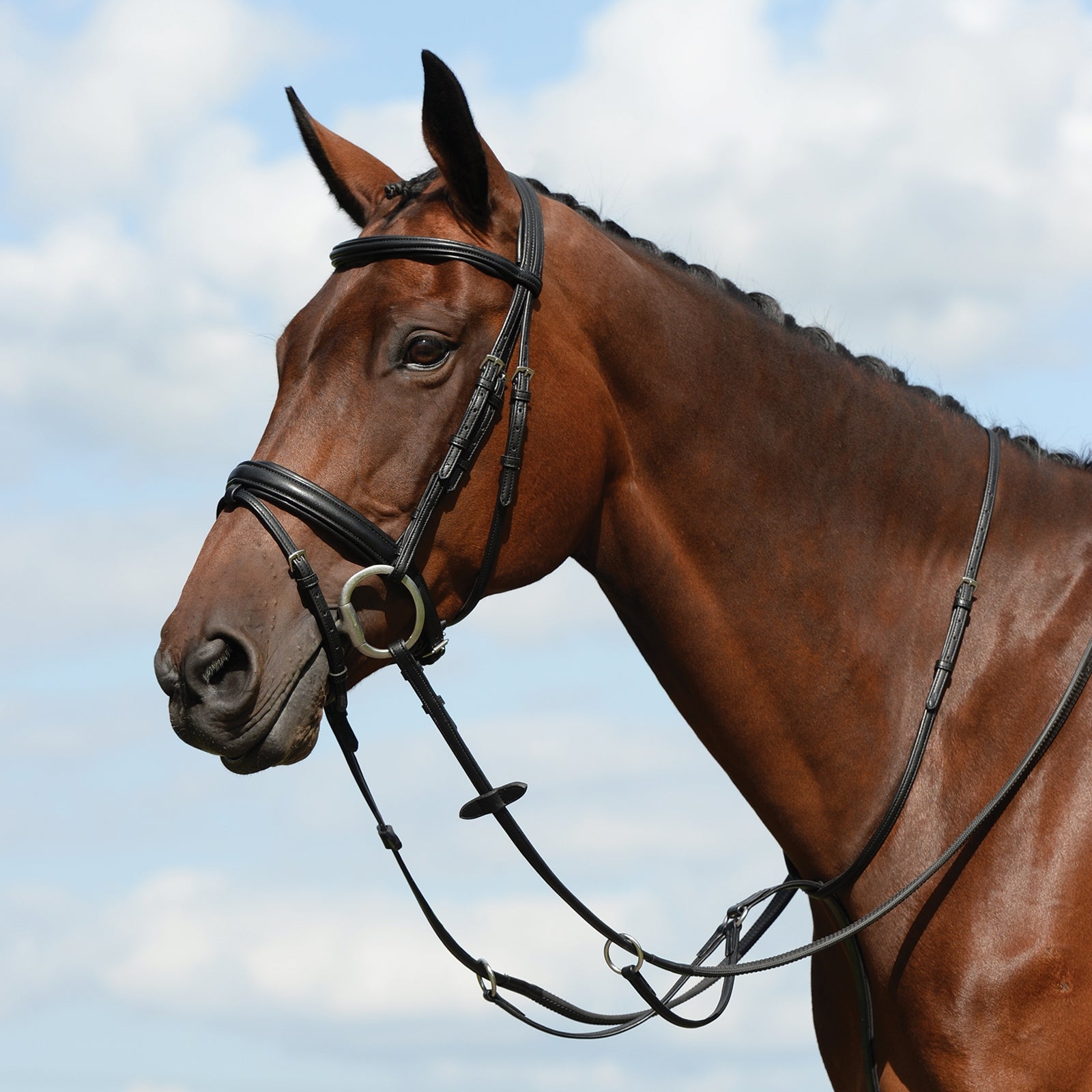 Collegiate Syntovia+ Plain Flat Running Martingale Bridles & Reins