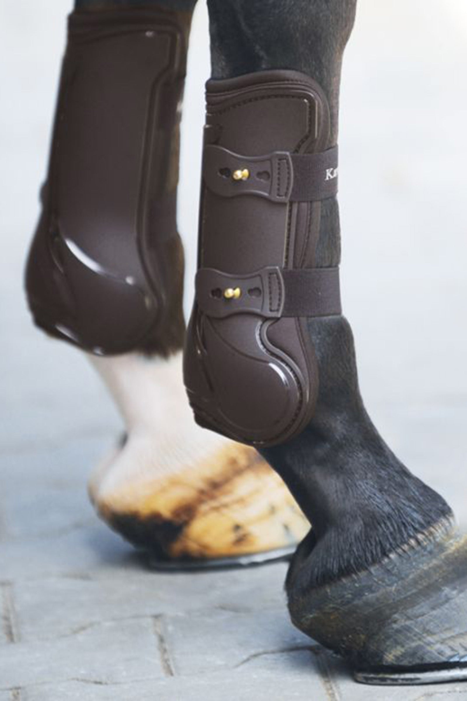 Kavalkade Konkurencja w Tendon Boots Leg Protection & Hoof Protection for Horses