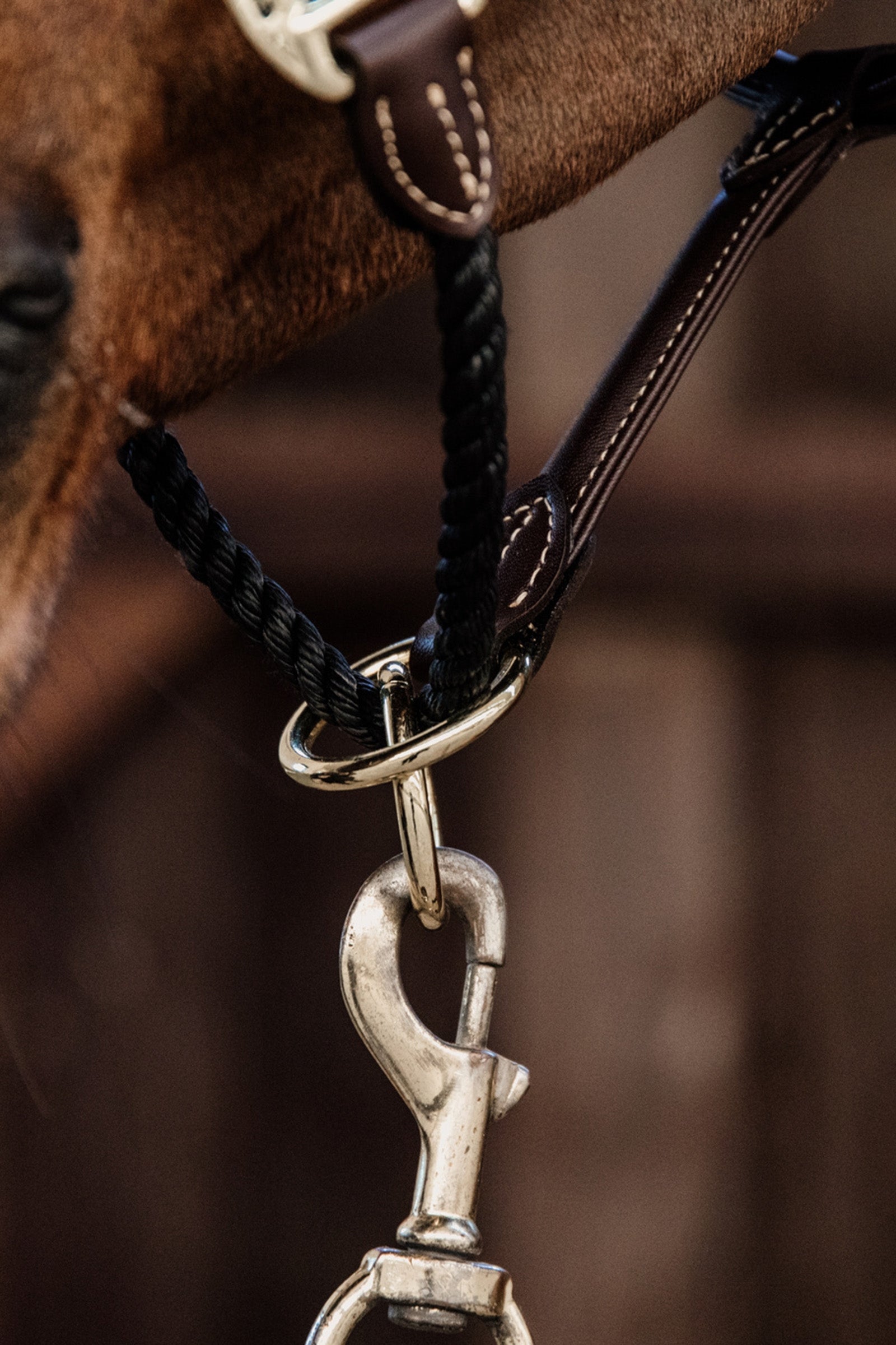 Kentucky Horsewear Leather Rope Halter Halters & Leads