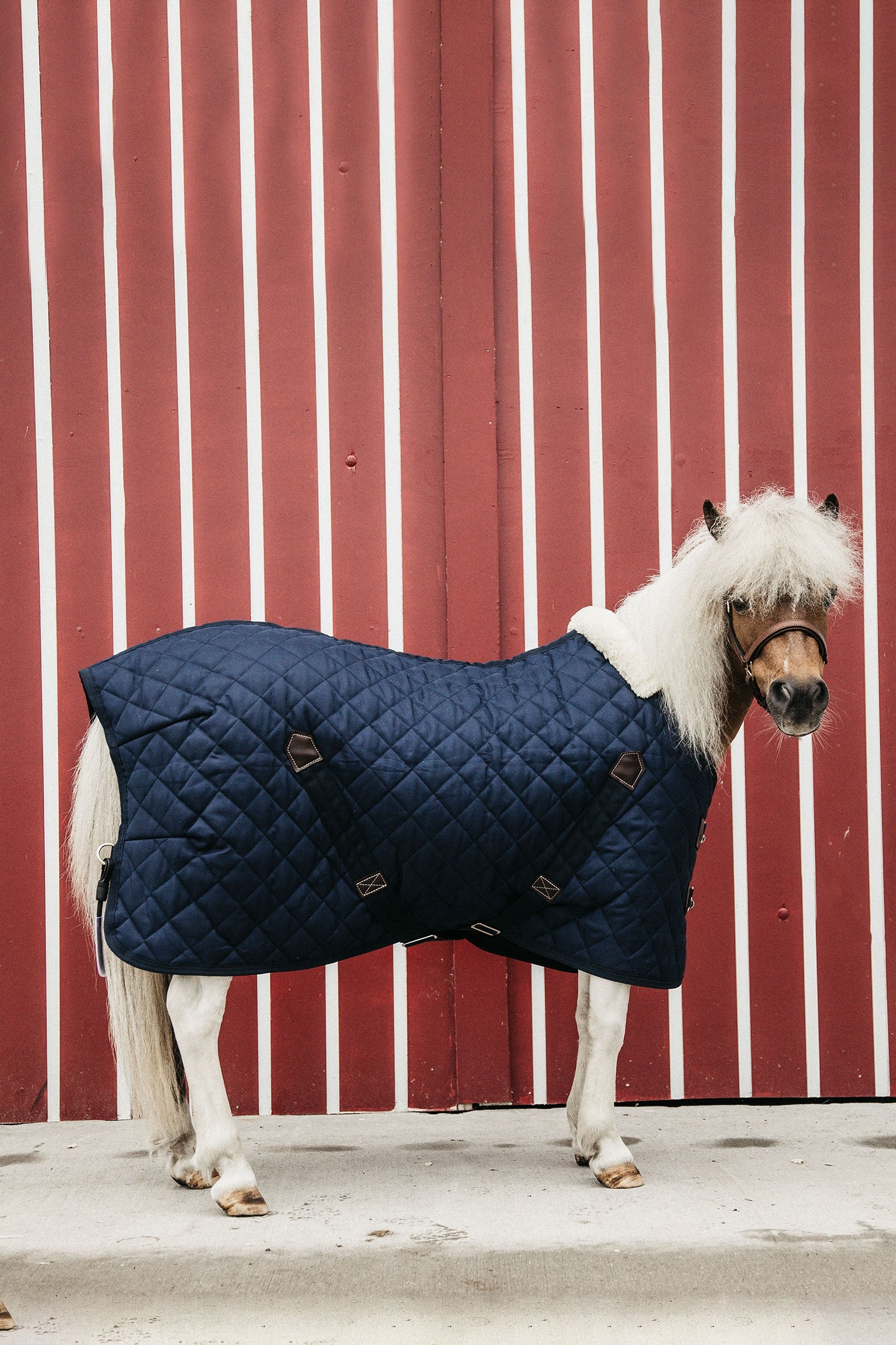 Kentucky Horsewear derka stajenna 400g Derki