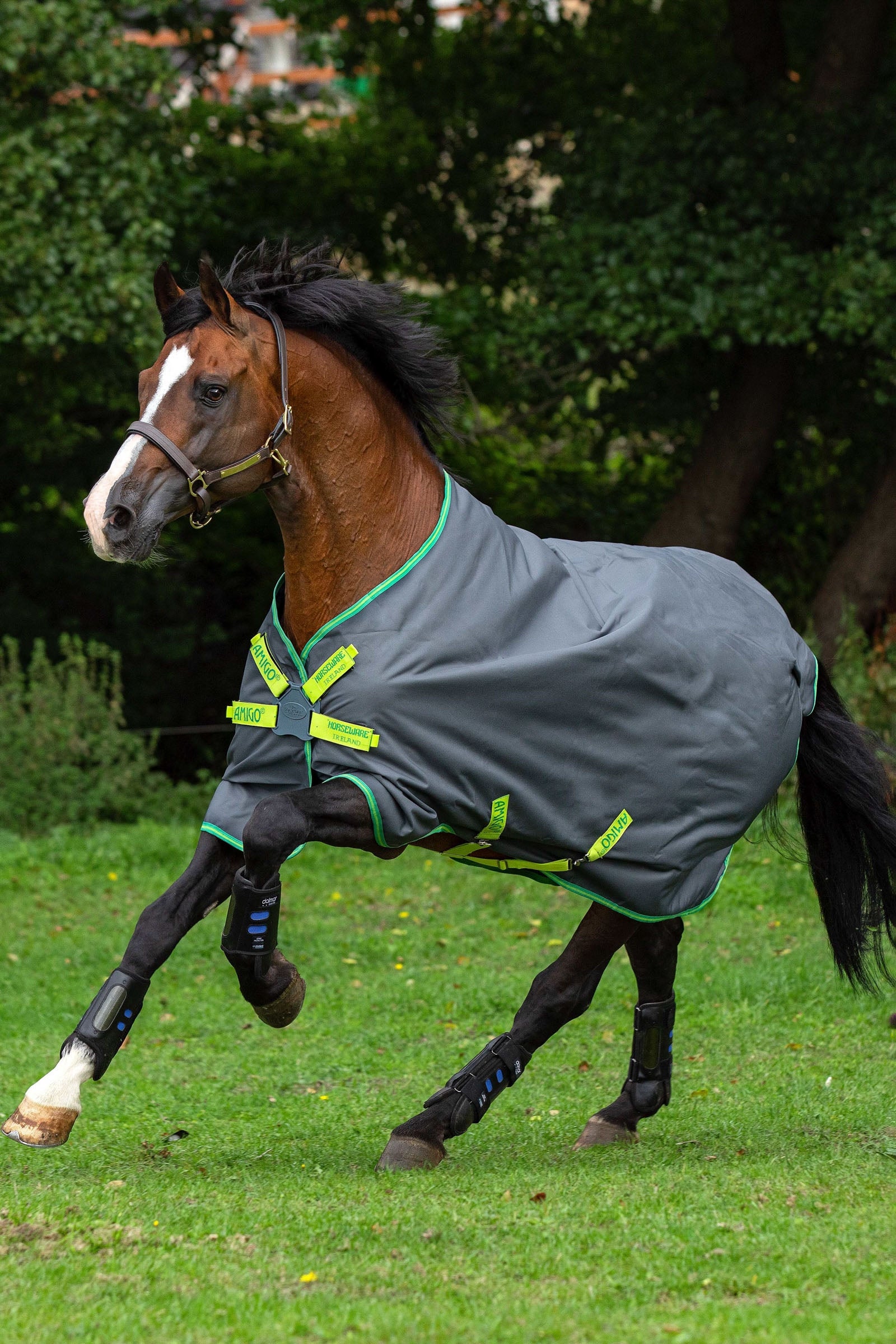 Horseware Lekka derka padokowa Amigo Hero 900 Lite Disc, 0g Derki
