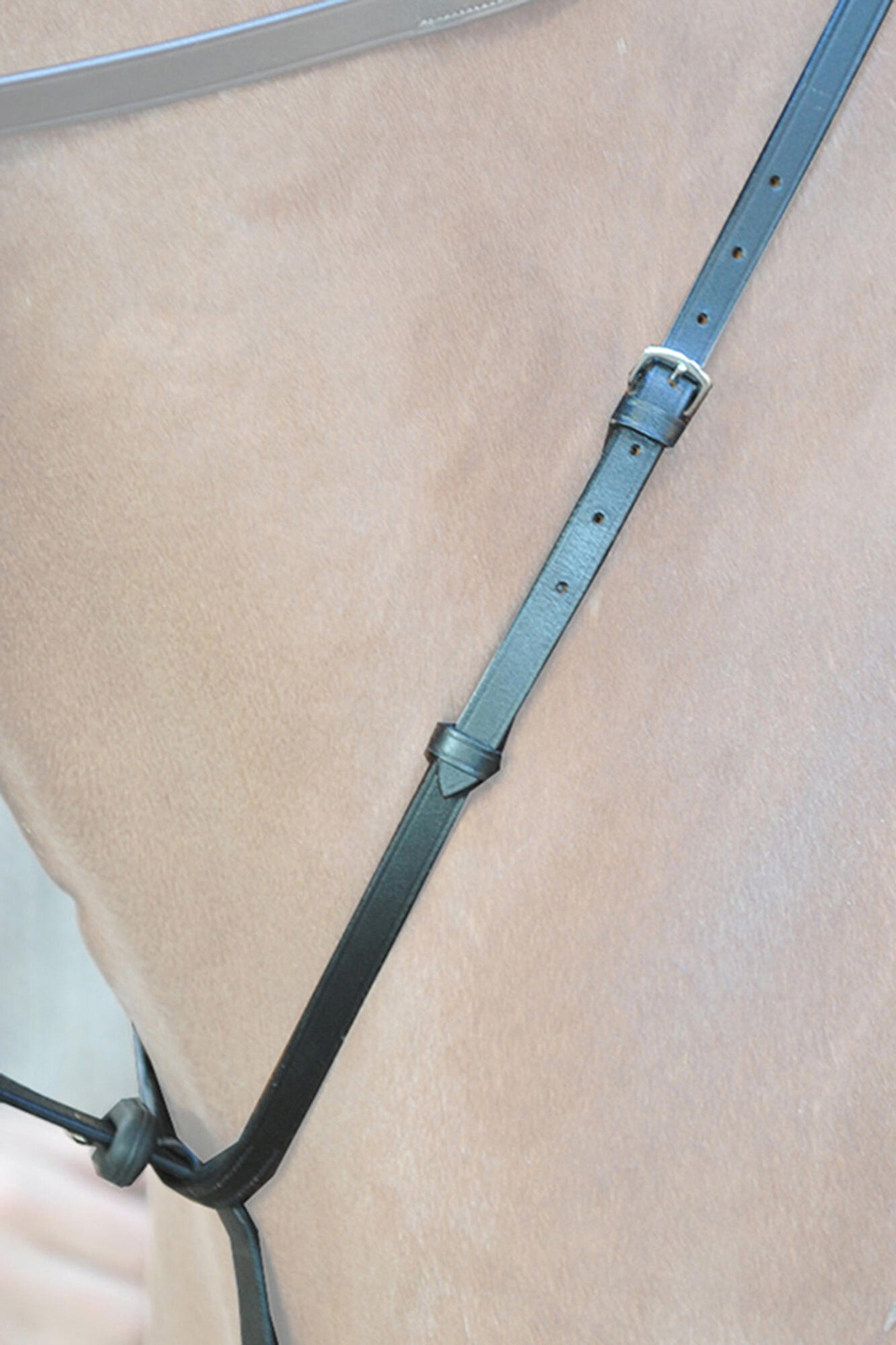 Kavalkade Ecoline Martingal with Stoppers Bridles & Reins