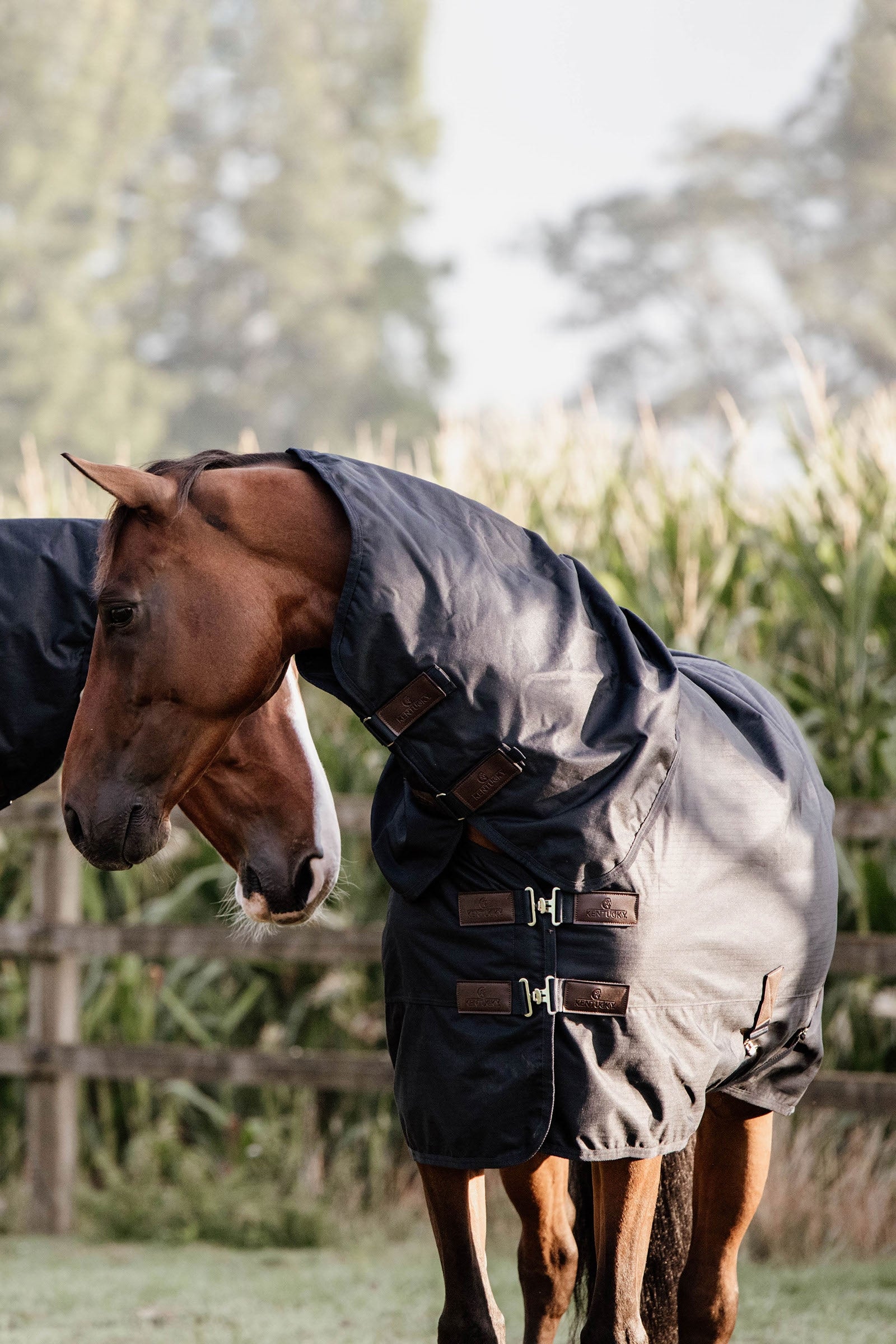 Kentucky Horsewear All Weather Waterproof Classic Turnout Rug, 0g Horse Rugs
