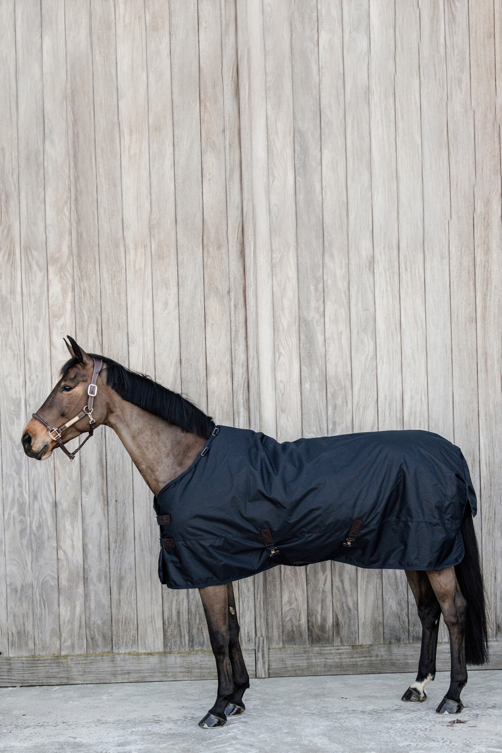 Kentucky Horsewear Wodoodporna derka padokowa All Weather Waterproof Classic, 50g Derki