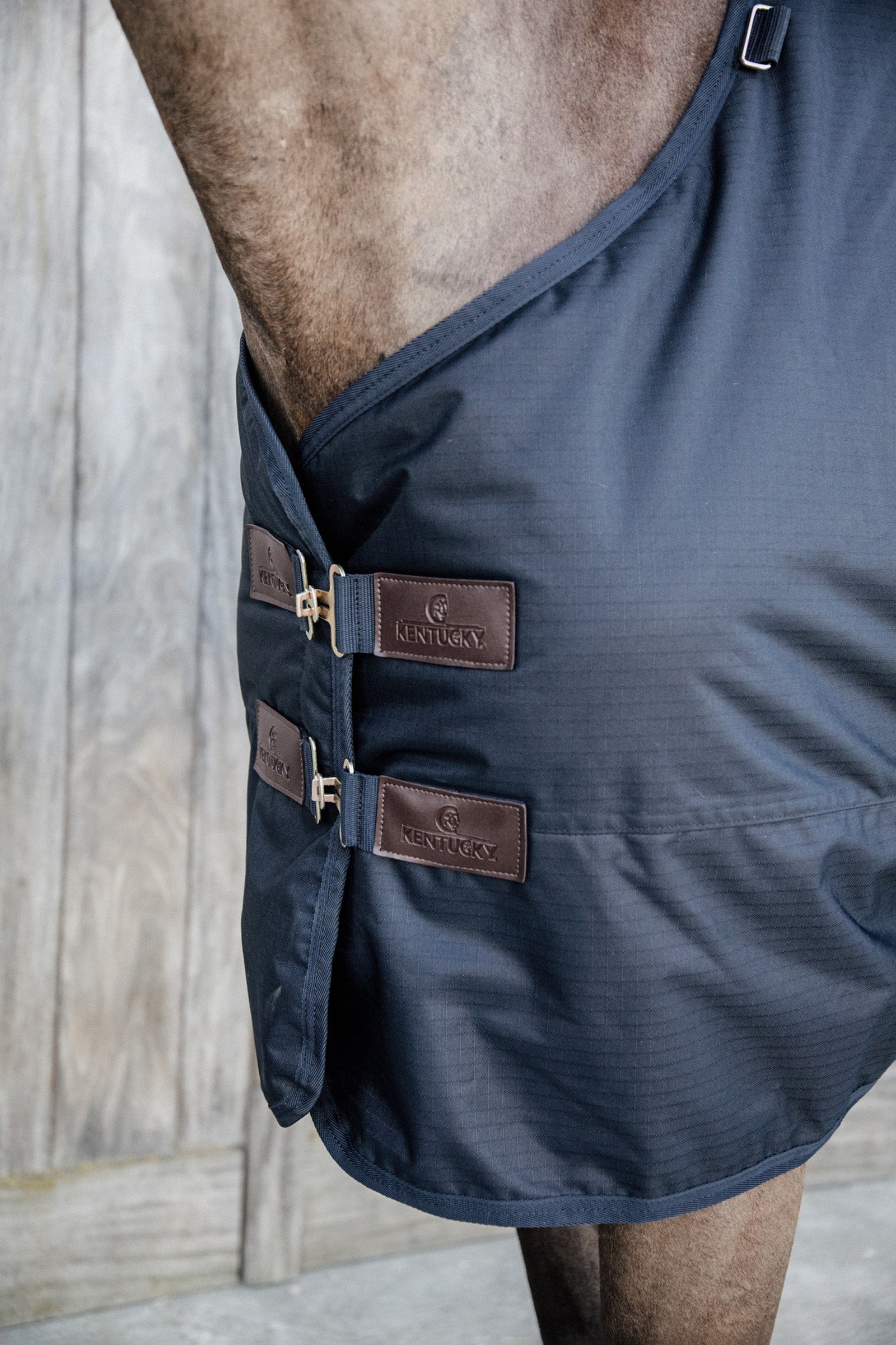 Kentucky Horsewear Turnout Rug All Weather Waterproof Classic, 50g Horse Rugs