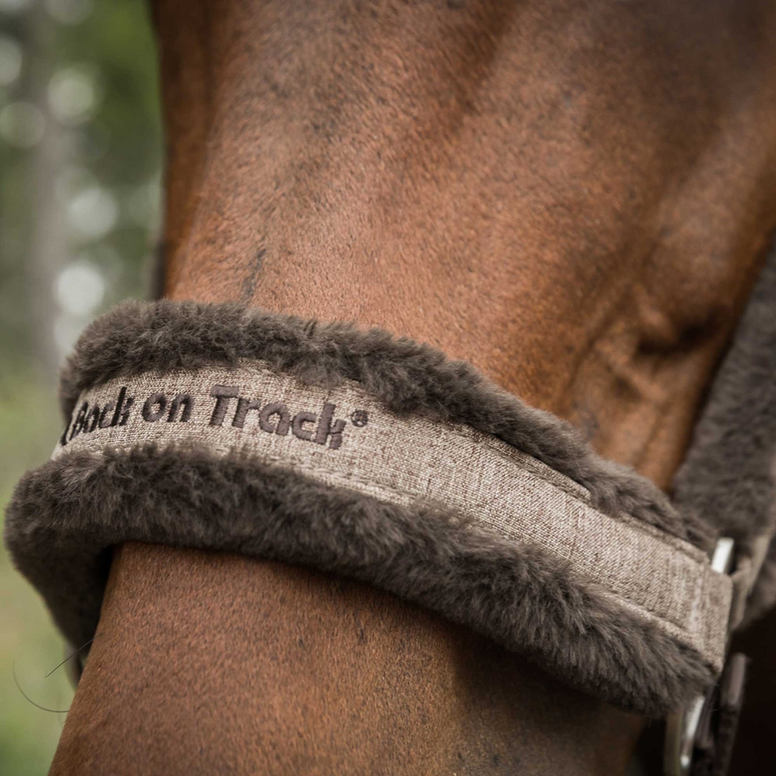 Back on Track Haze Collection Halter Halters & Leads