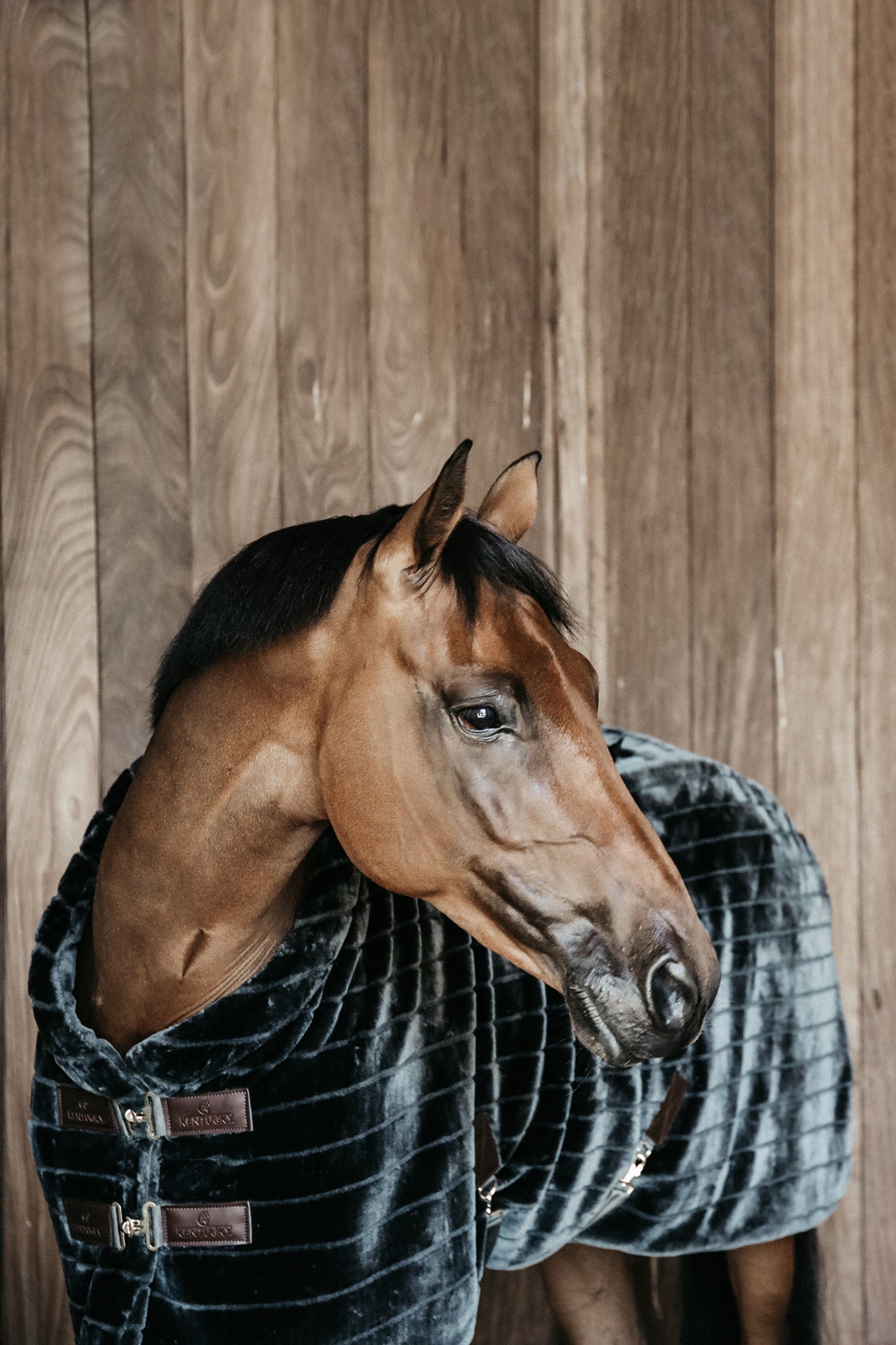 Kentucky Horsewear Fake Fur Stable Rug Horse Rugs