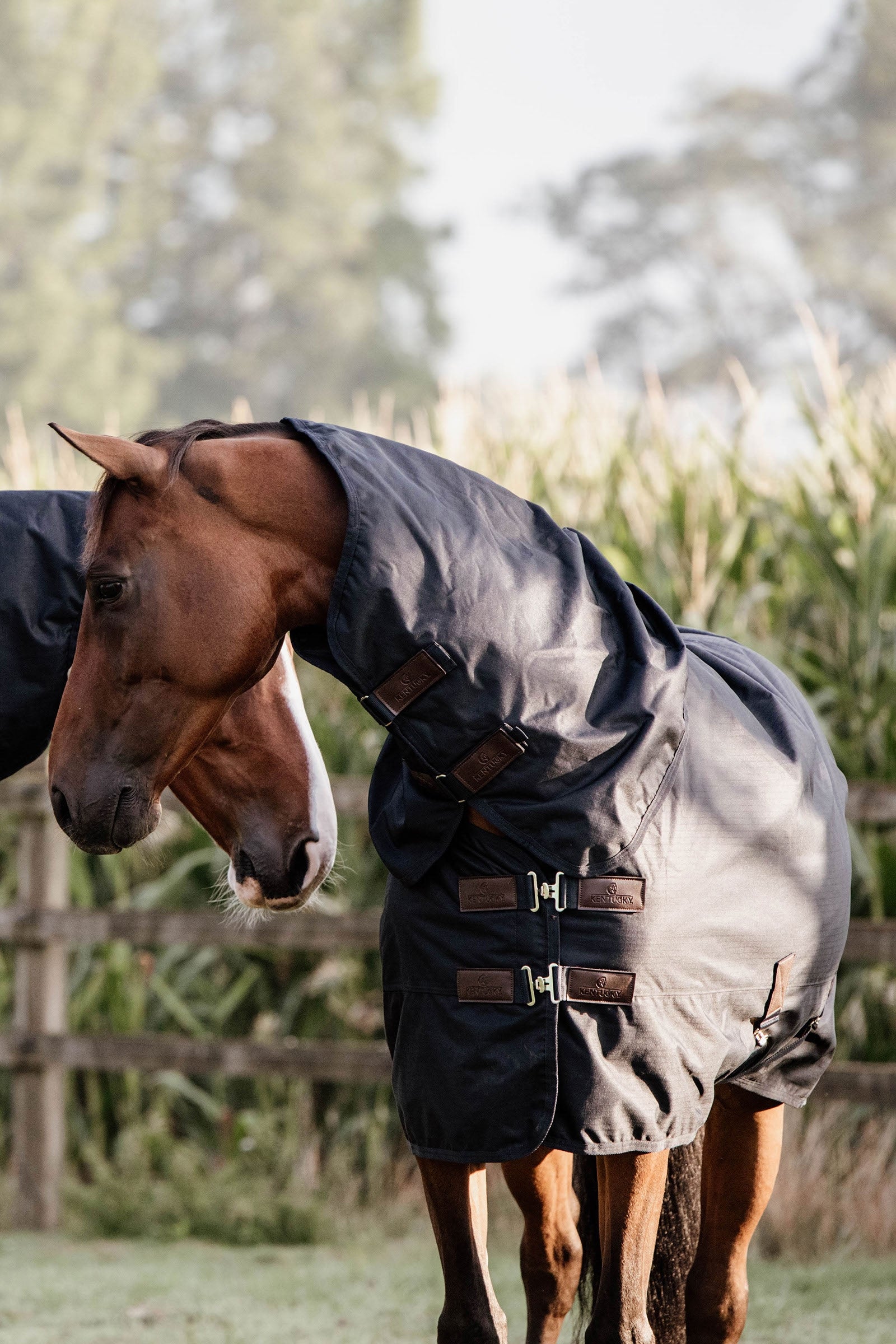 Kentucky Horsewear Turnout Rug All Weather Waterproof Classic, 150g Horse Rugs