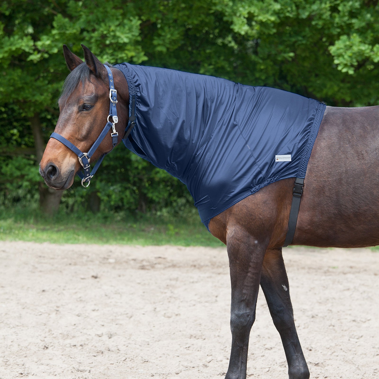 Waldhausen Egzema na szyję Derki