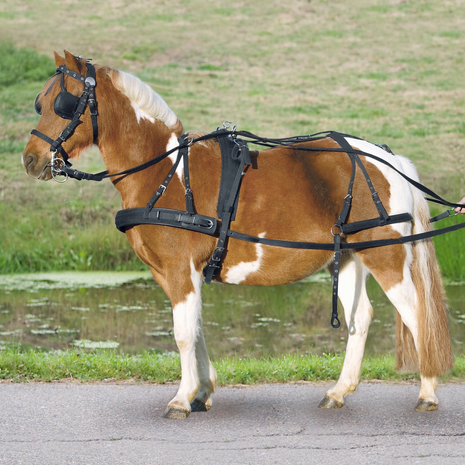 Waldhausen Pony i Shetty w uprzęży Sprzęt wyścigowy