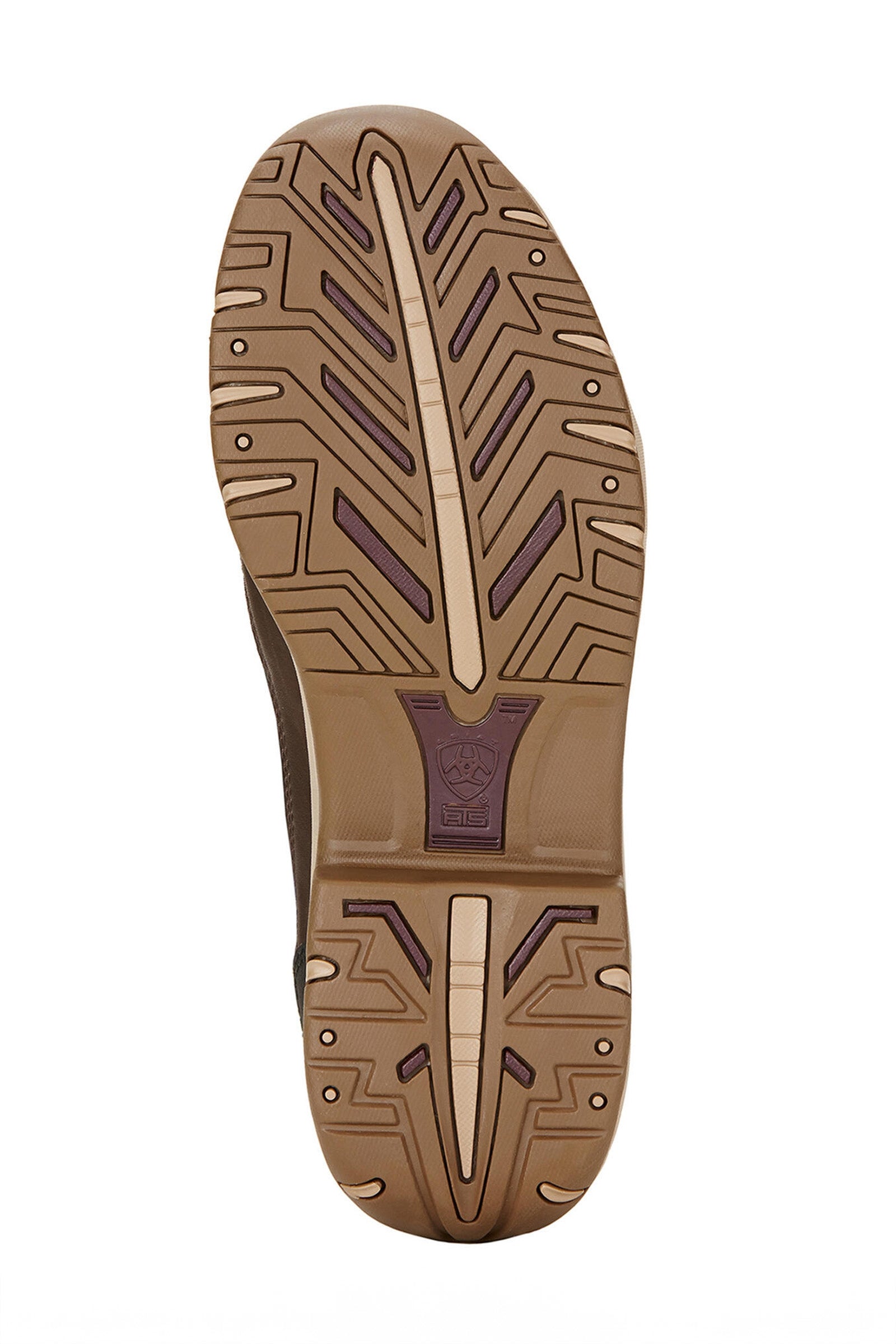 Ariat Telluride II H20 Women's Half Boots Riding Boots & Riding Shoes