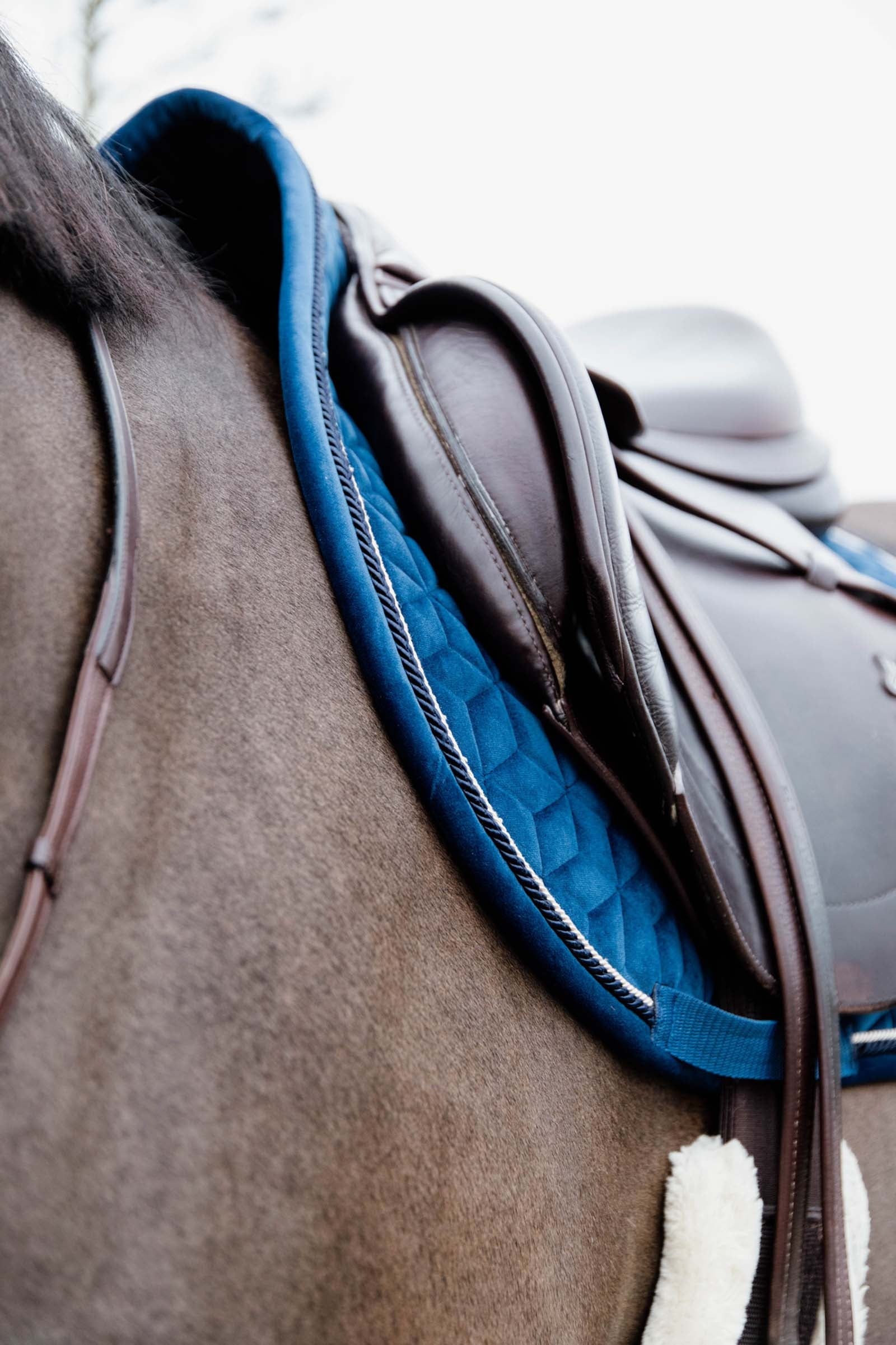 Kentucky Horsewear Velvet Basic Jumping Saddle Pad Saddle Pads