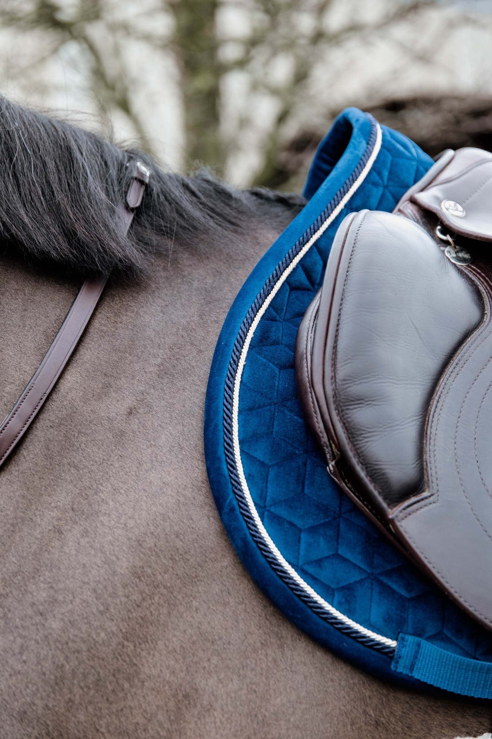 Kentucky Horsewear Velvet Basic Jumping Saddle Pad Saddle Pads