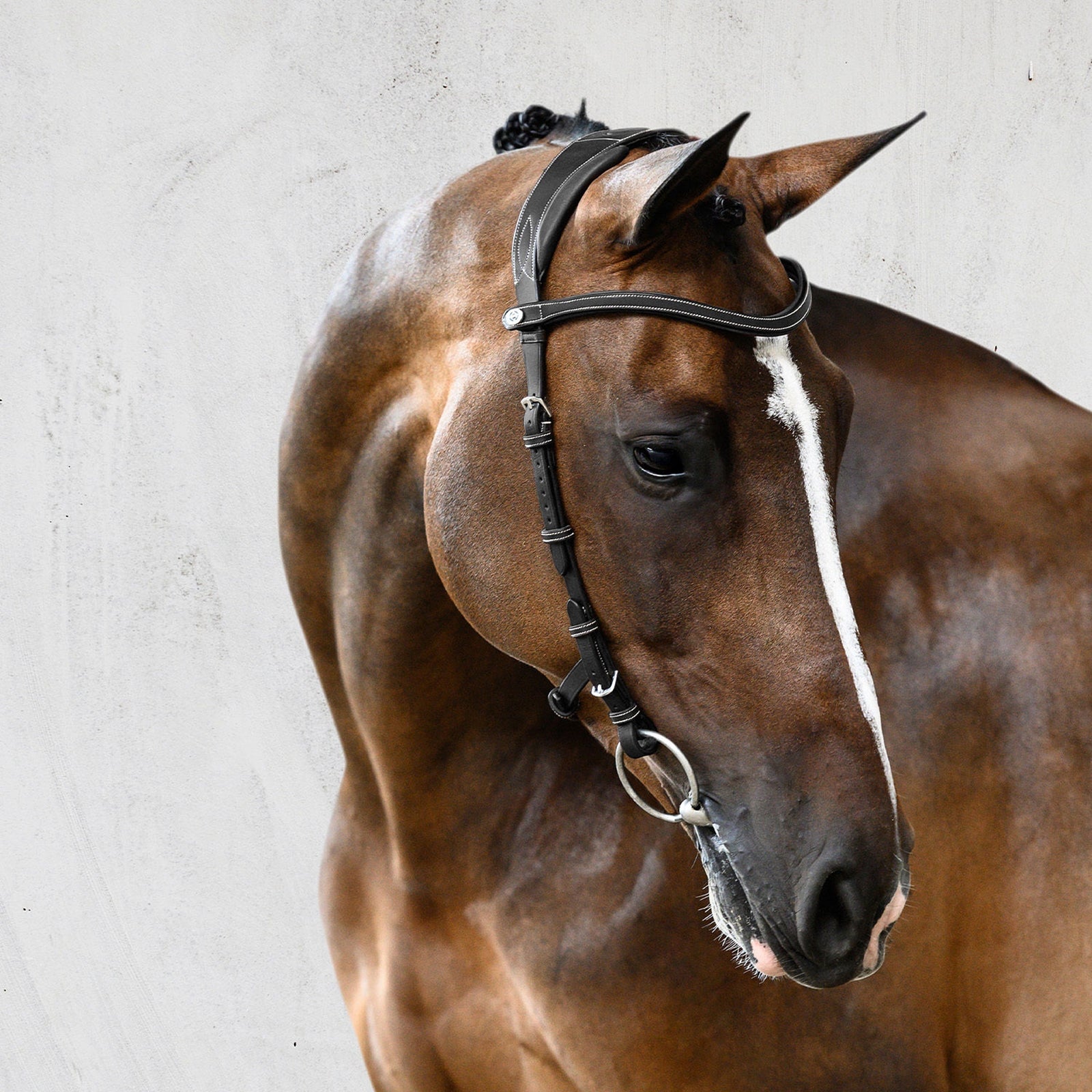 PS of Sweden Bridle Helsinki Bridles & Reins