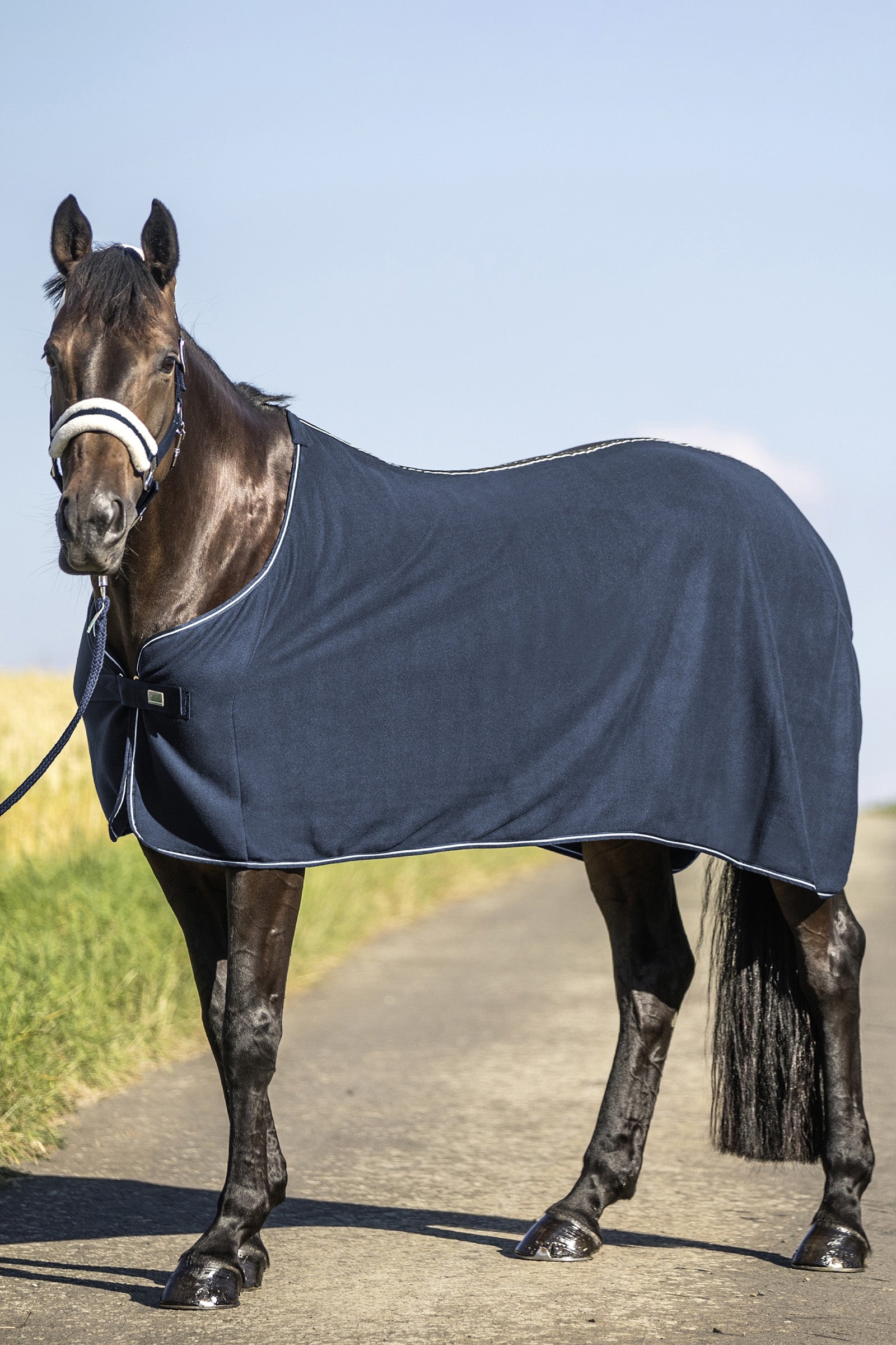USG Fleece Rug Horse Rugs
