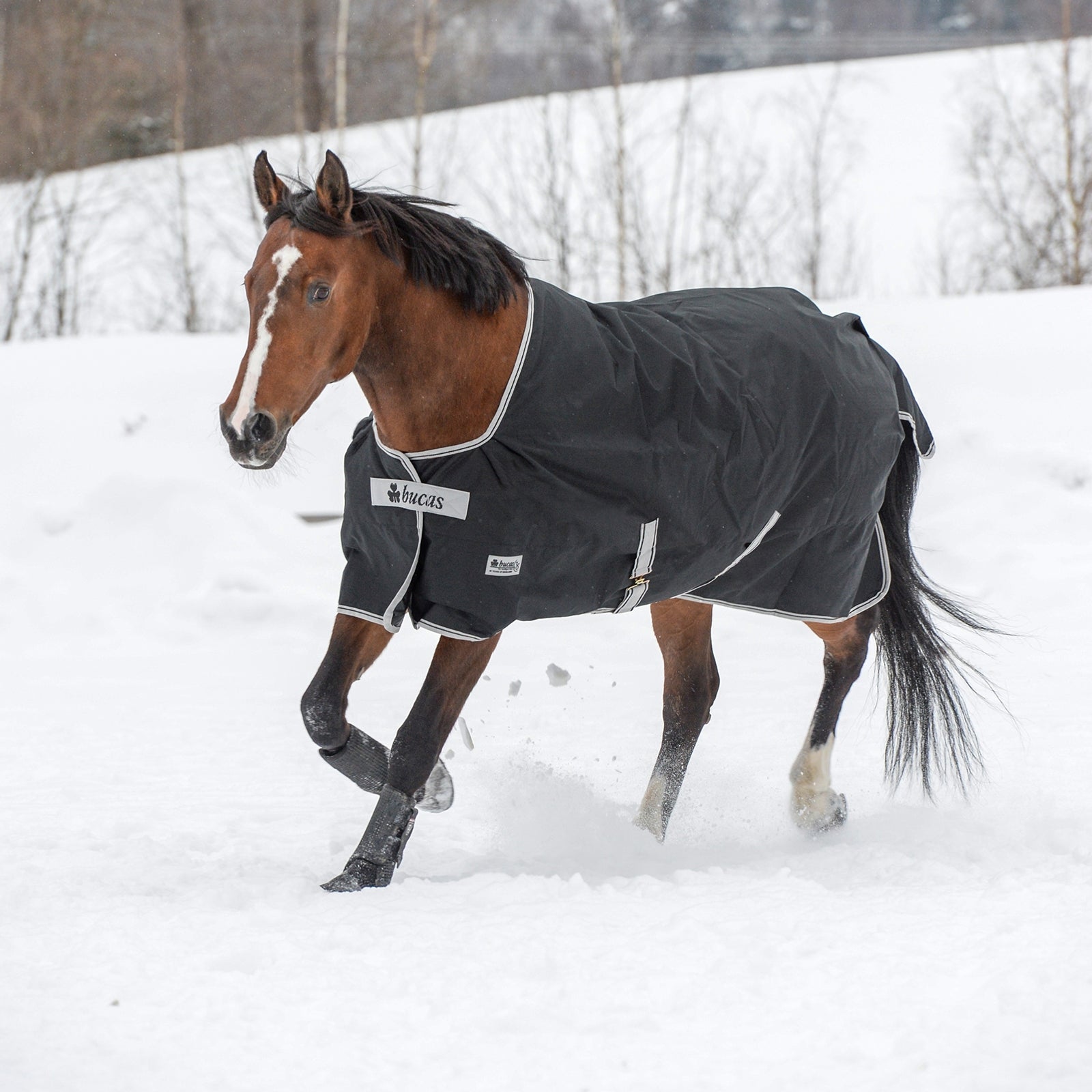 Bucas Anniversary SD lekka derka padokowa, 150 g Derki