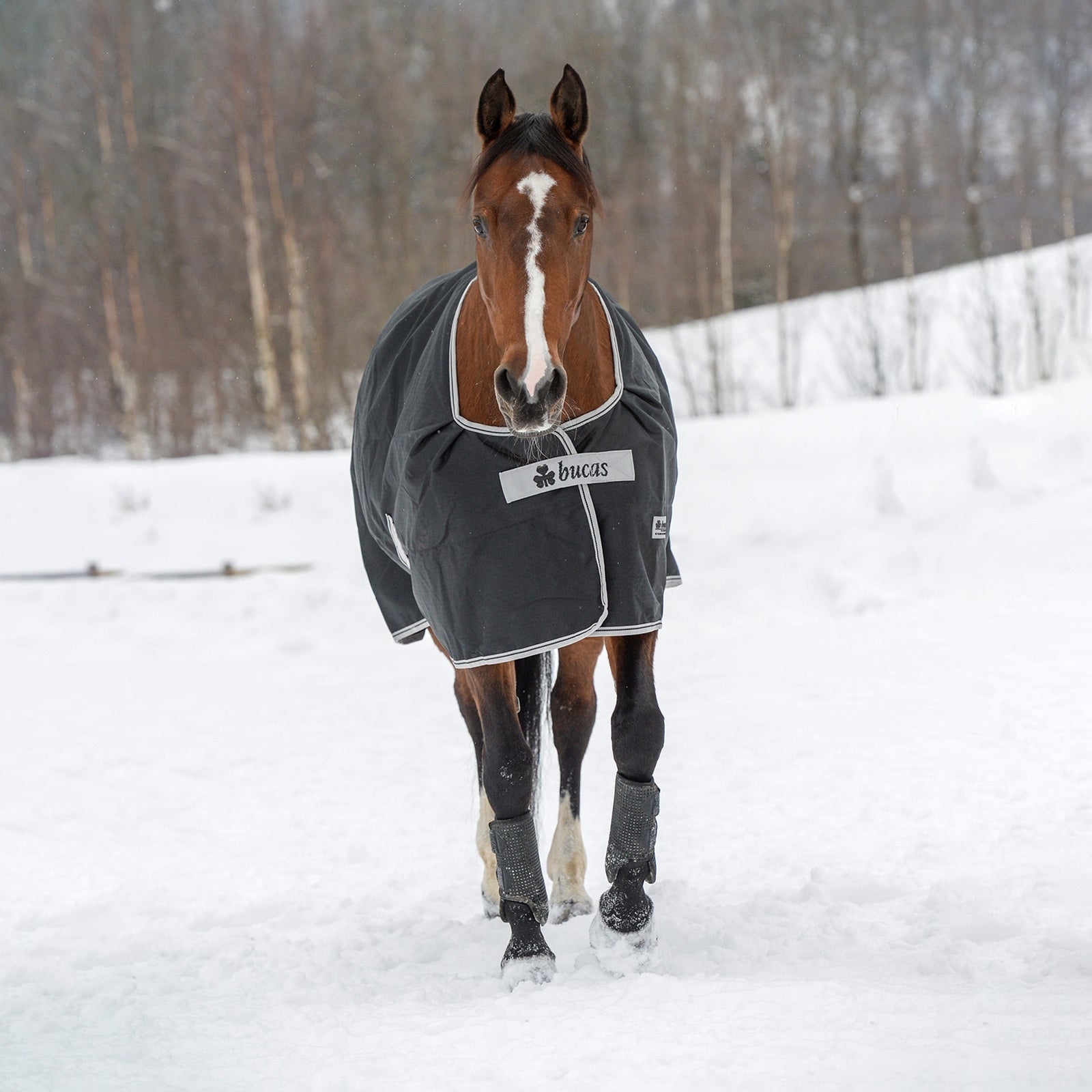 Bucas Anniversary Light SD Turnout Rug, 150g Horse Rugs