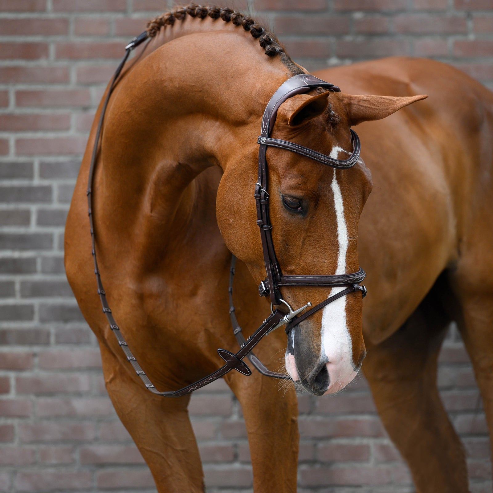 PS of Sweden Stockholm ogłowie Ogłowia i wodze