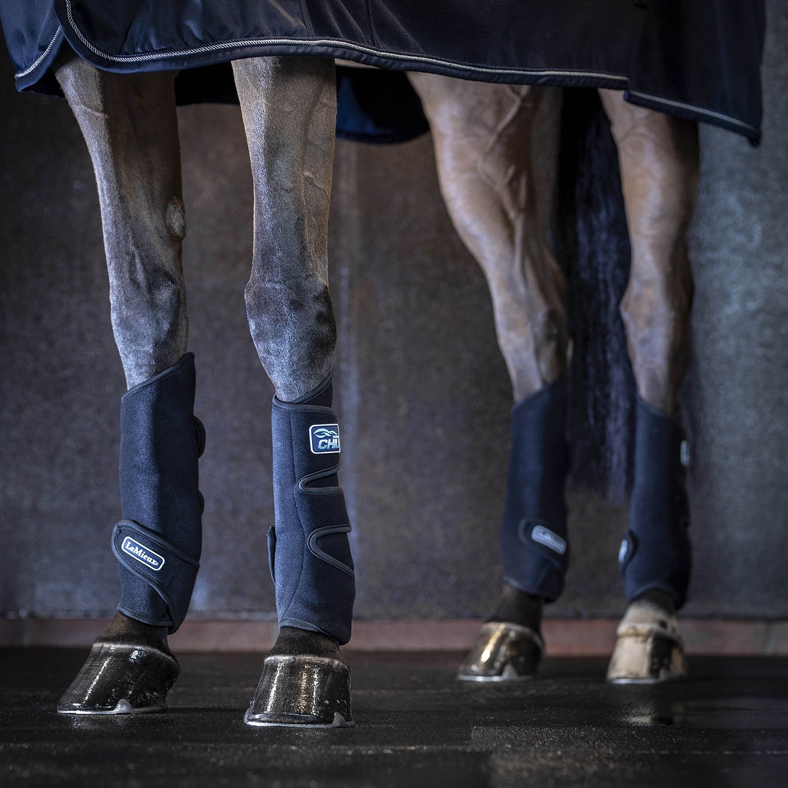 LeMieux Tendon Chill Bootss Leg Protection & Hoof Protection for Horses