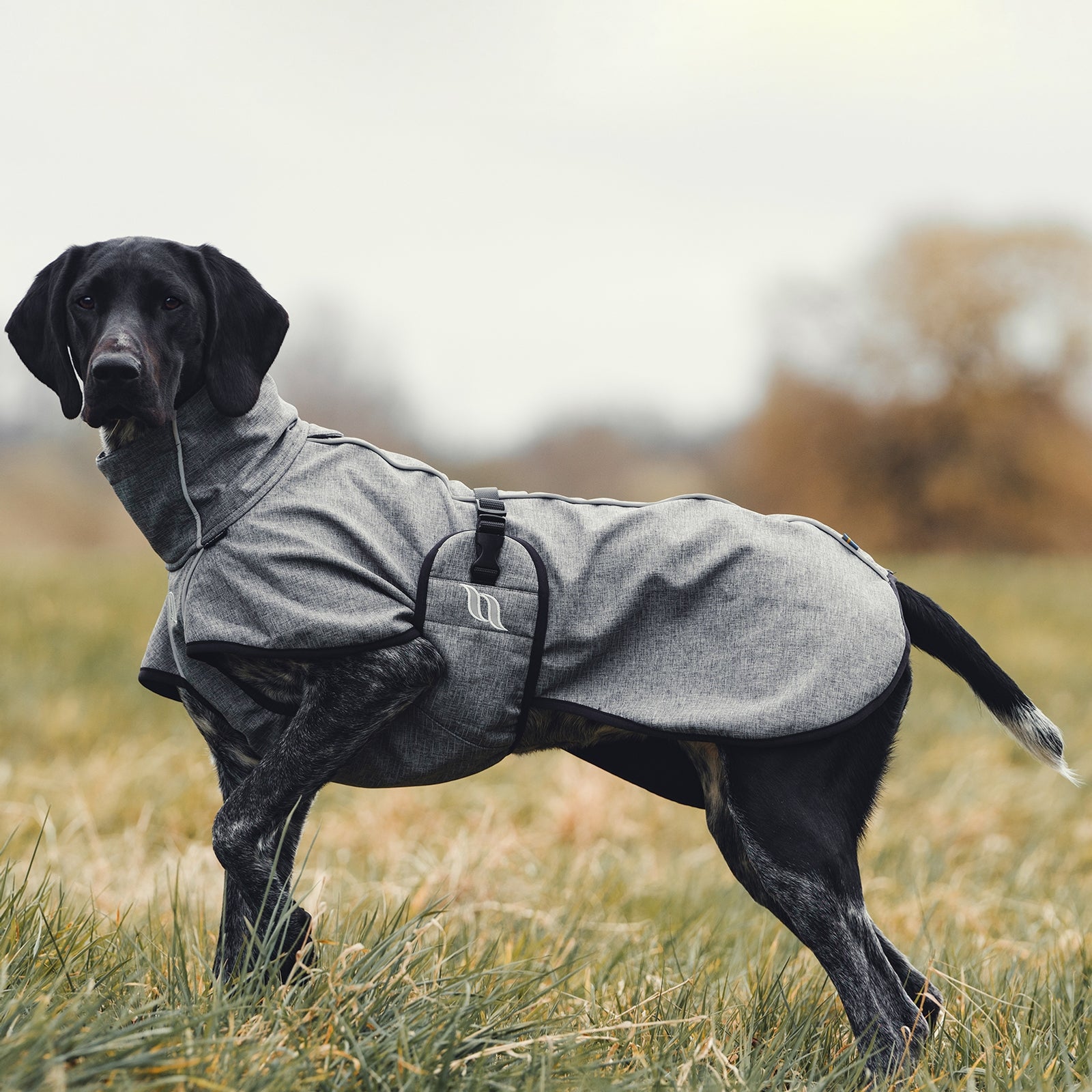 Back on Track Bark All-Round Dog Coat, 25-35cm Dog Accesories