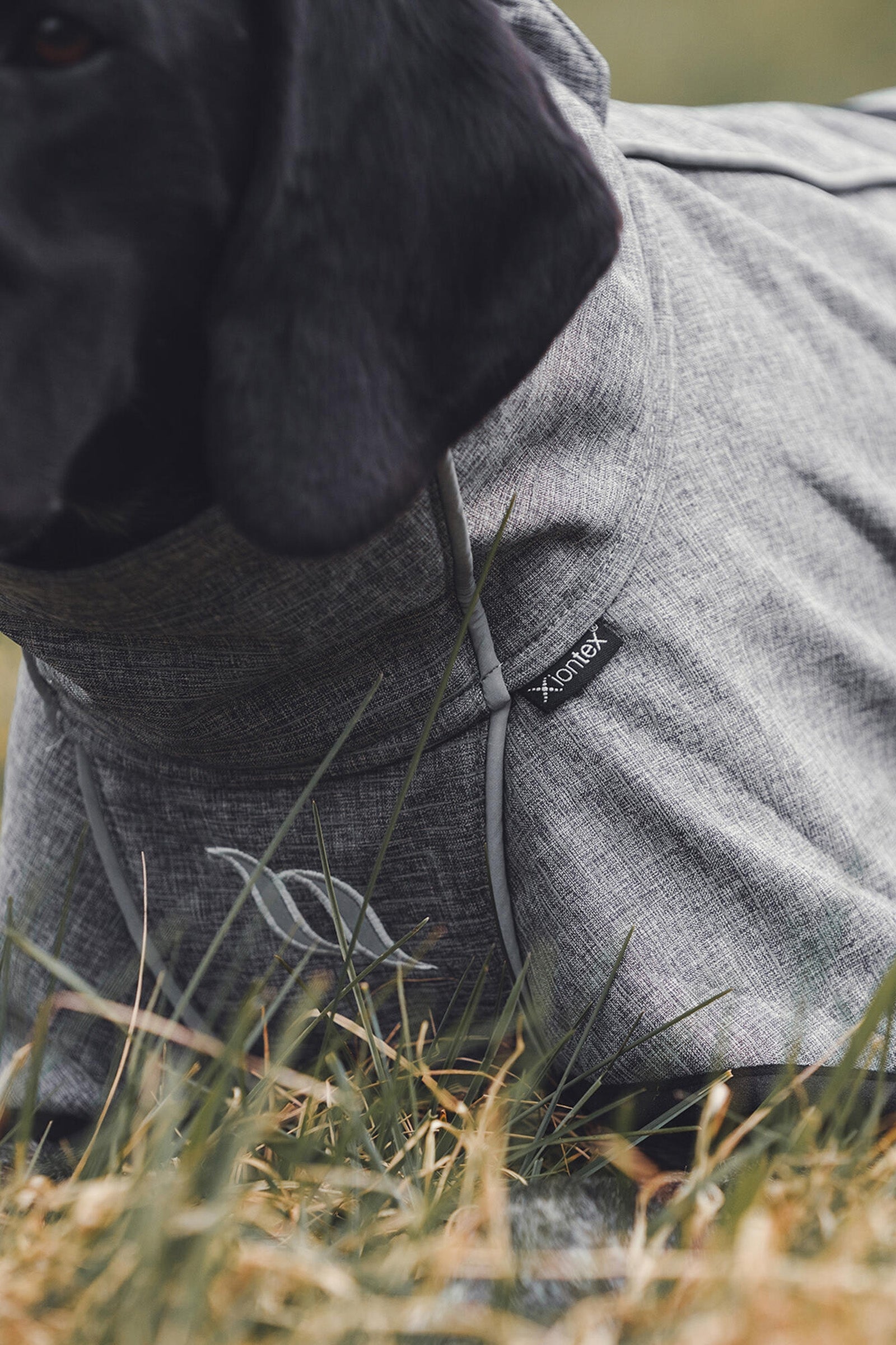 Back on Track Bark All-Round Dog Coat, 40-50cm Dog Accesories