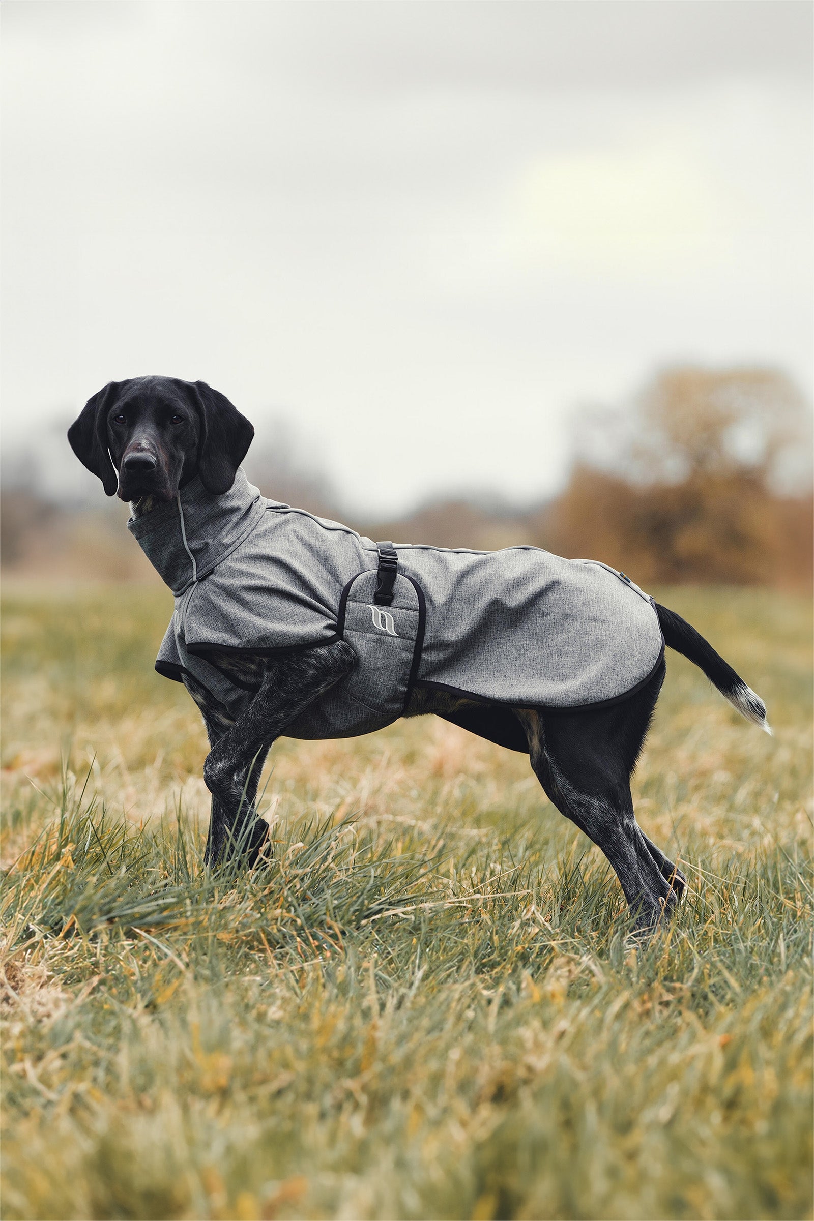 Back on Track Bark All-Round Dog Coat, 40-50cm Dog Accesories