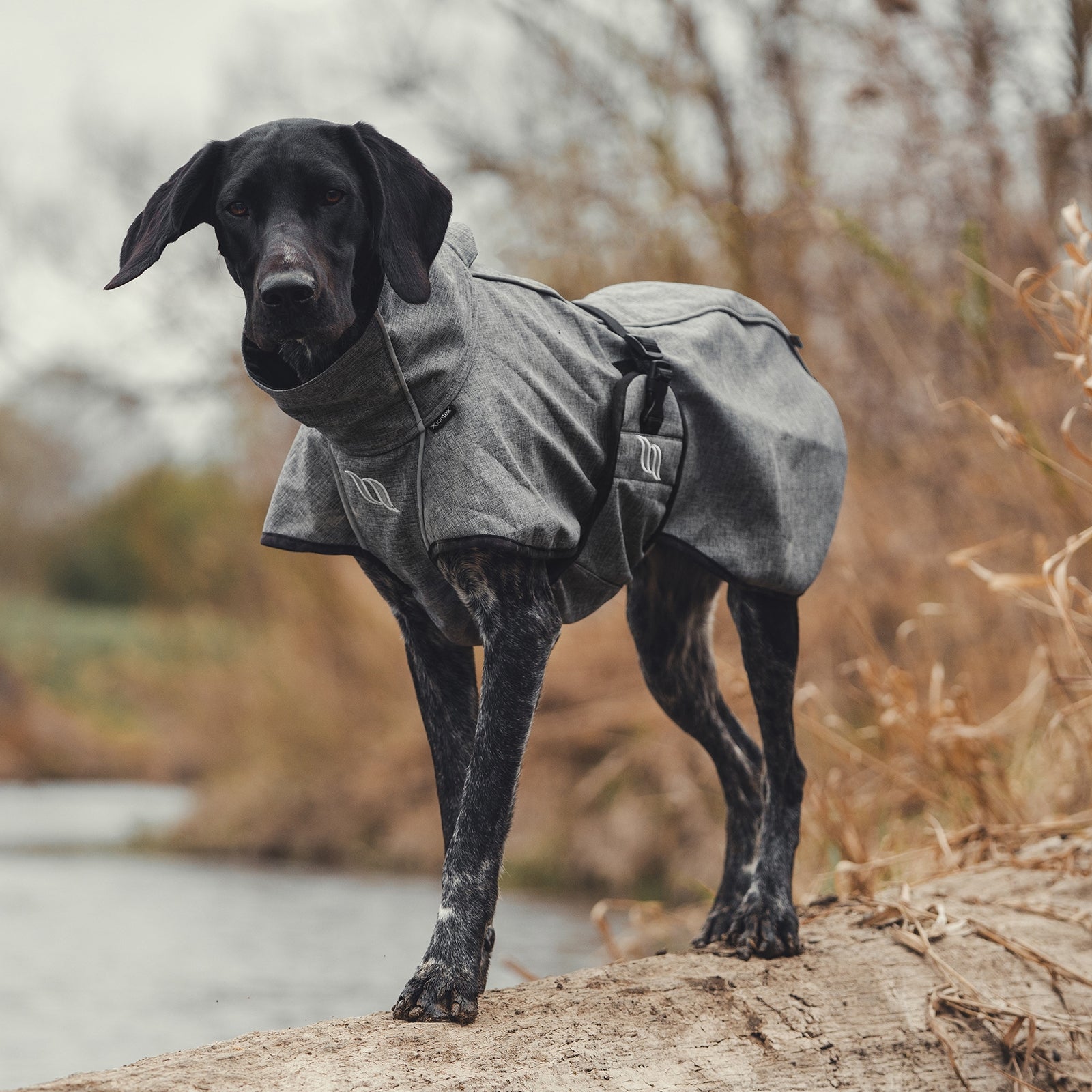 Back on Track Bark All-Round Dog Coat, 40-50cm Dog Accesories