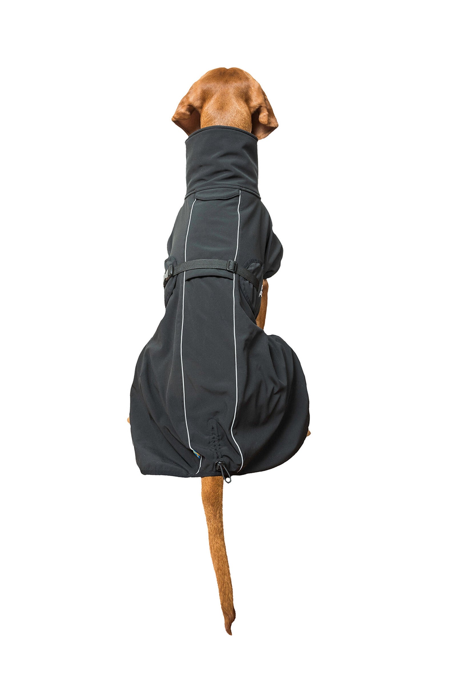 Back on Track Bark Uniwersalna derka dla psa, 70-80 cm Pies