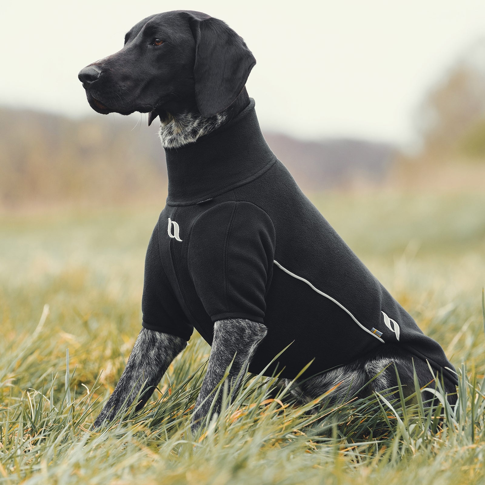 Back on Track Cassie All-Weather Jumper, 35-40cm Dog Accesories