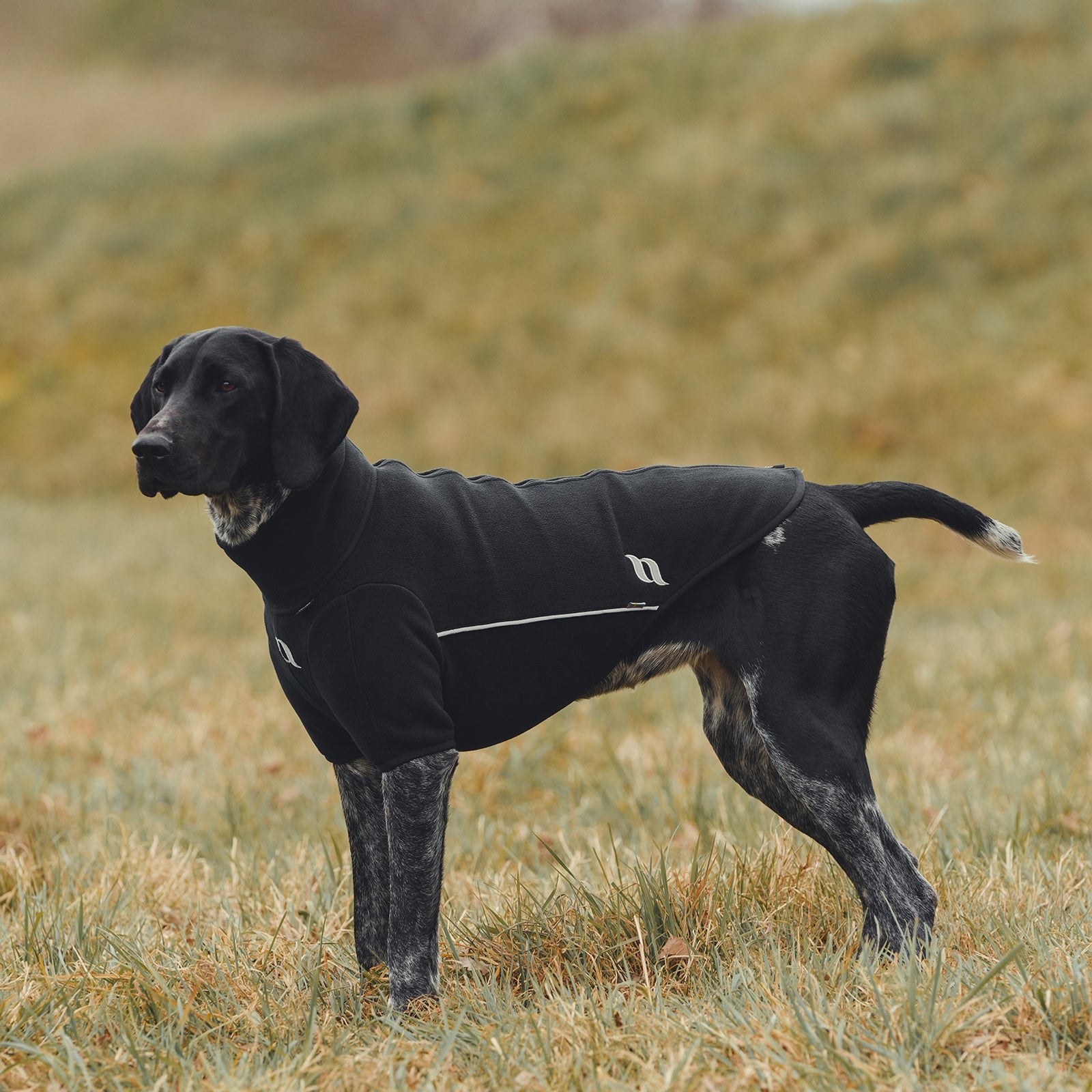 Back on Track Cassie All-Weather Jumper, 55-60cm Dog Accesories