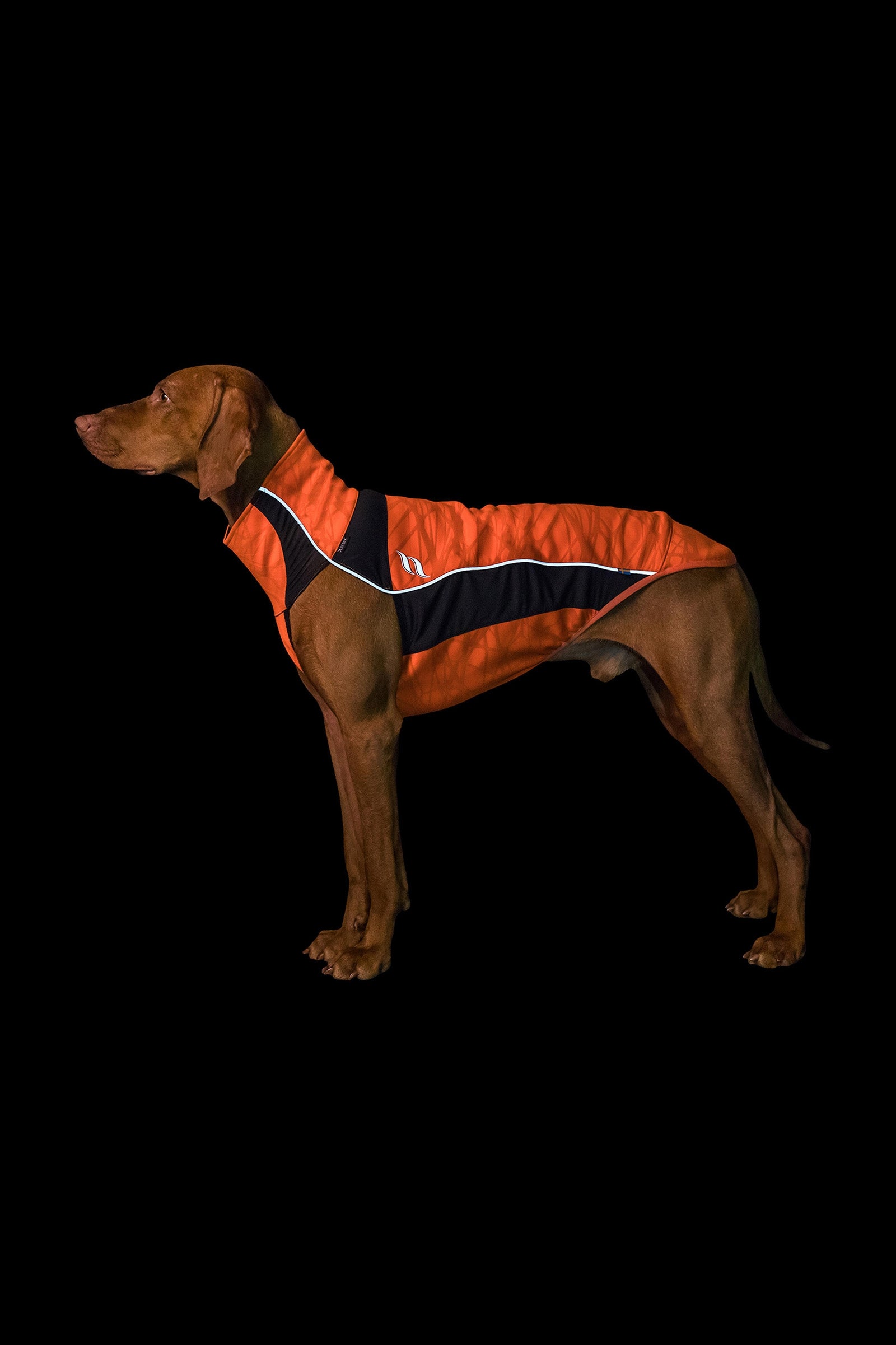 Back on Track Eddie High-Visibility Jumper, 40-45cm Dog Accesories