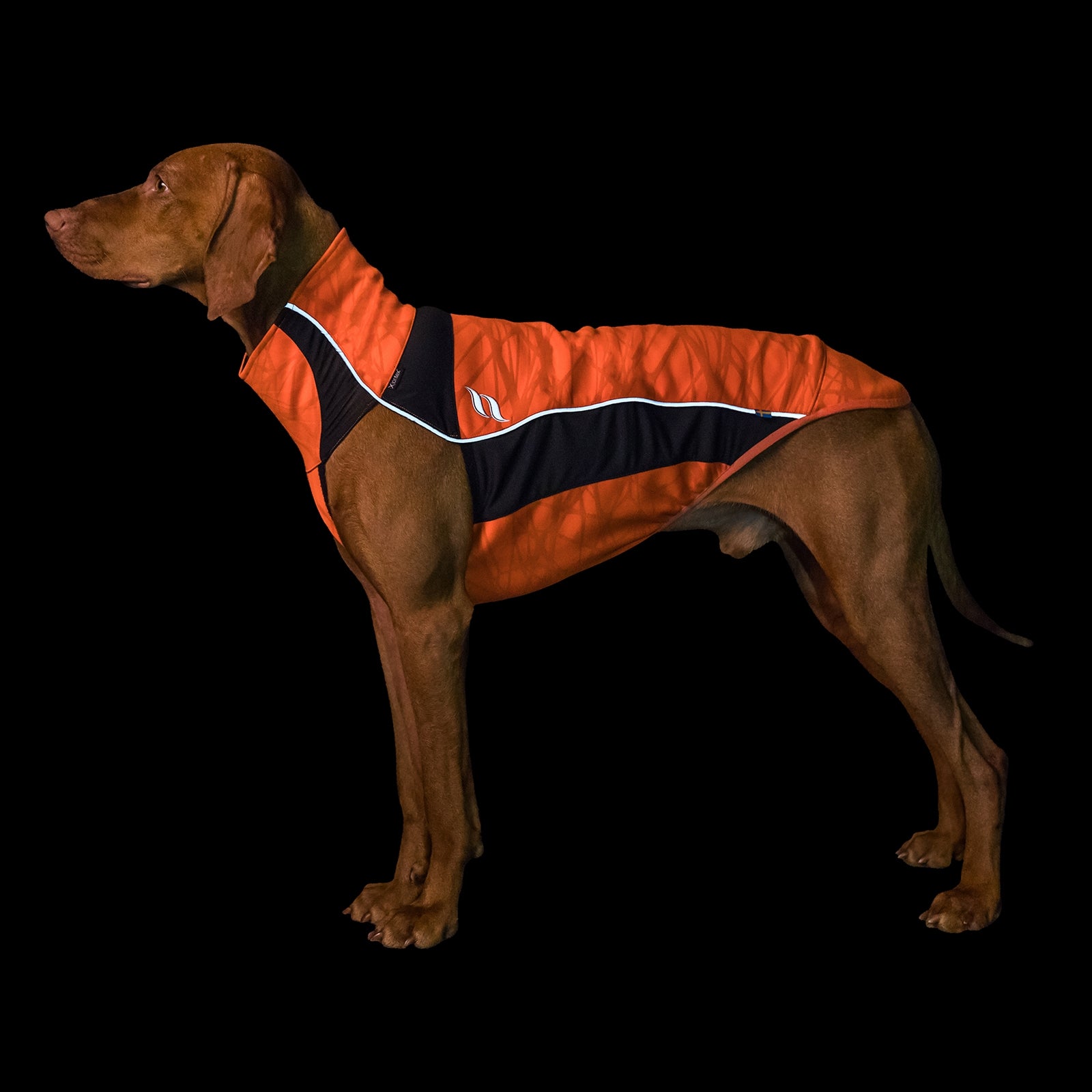 Back on Track Eddie High-Visibility Jumper, 50-55cm Dog Accesories