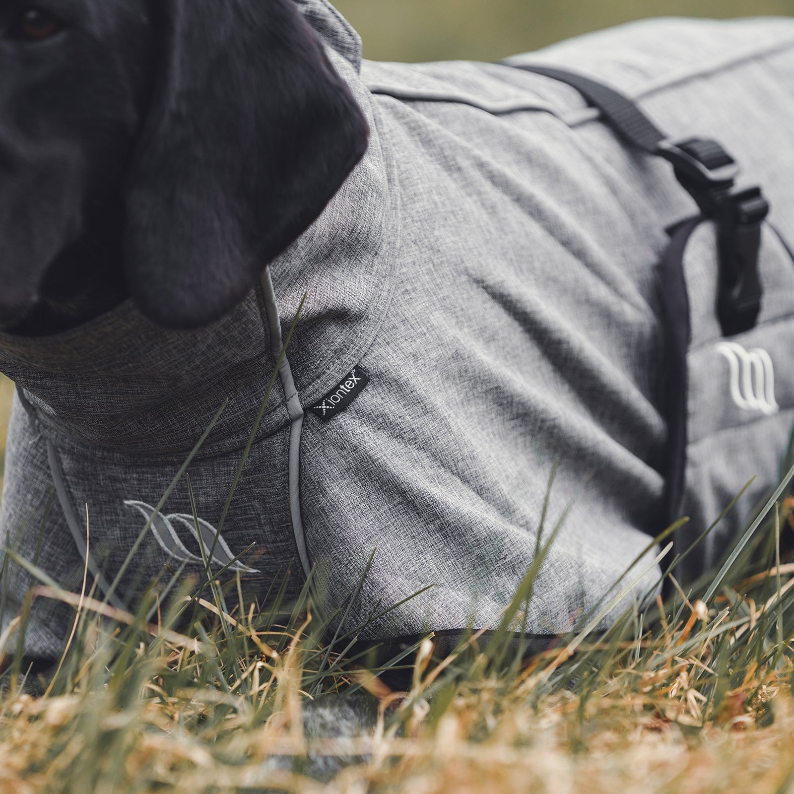 Back on Track Nella All-Round Dog Coat, 40-50cm Dog Accesories