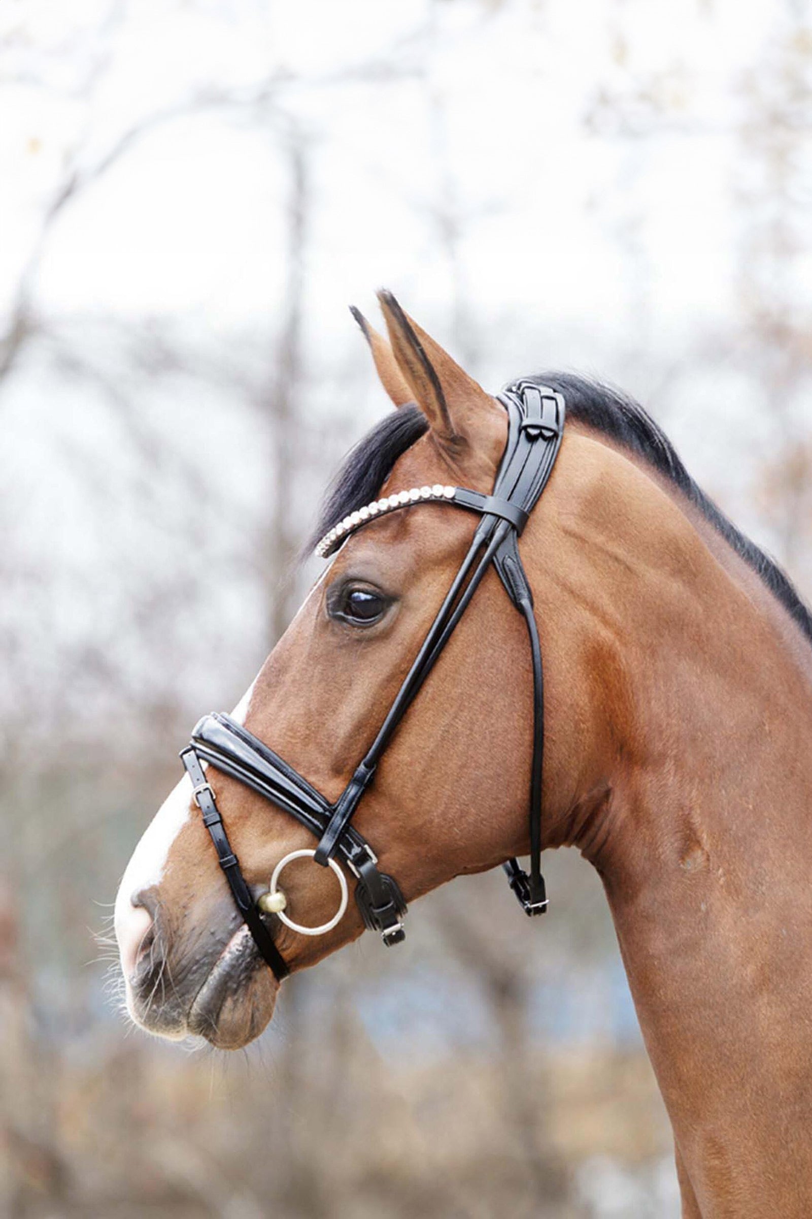 Kavalkade Florina Patent Leather Bridle With Crank Noseband Bridles & Reins