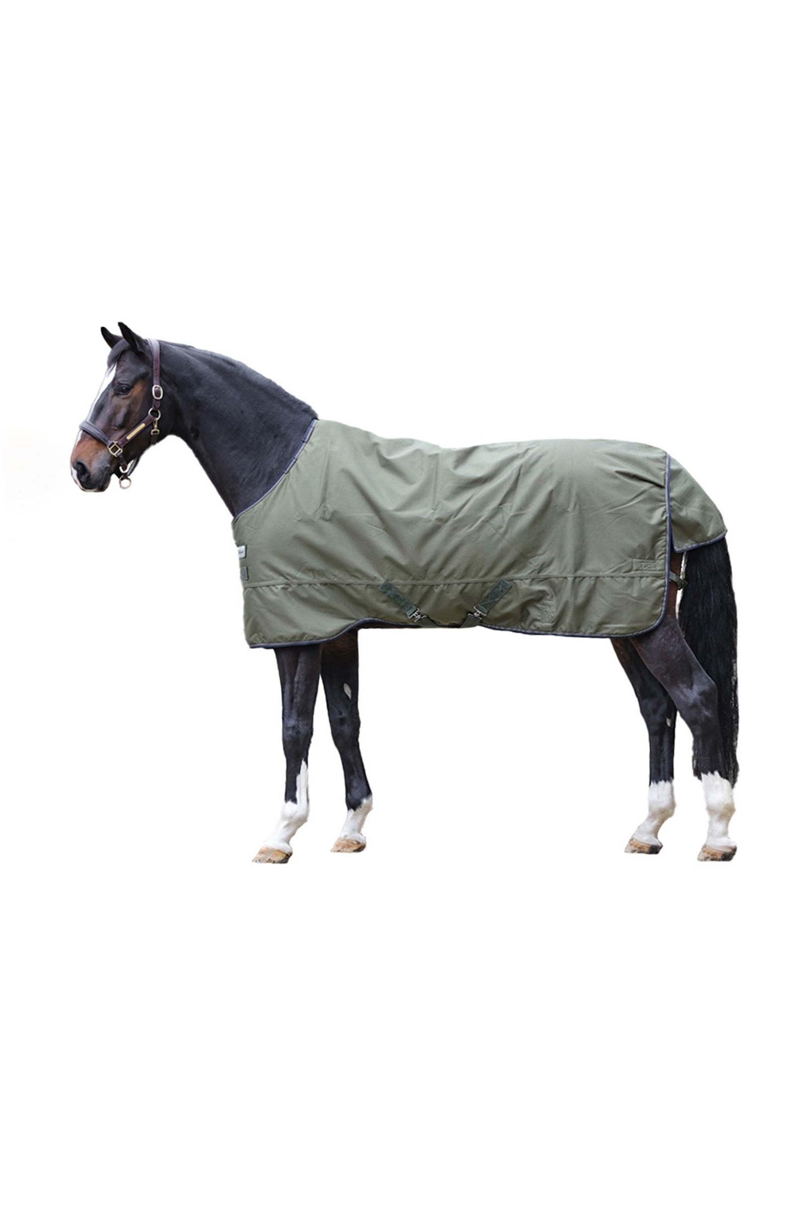 Kavalkade Montreal Turnout Rug, 200g Horse Rugs