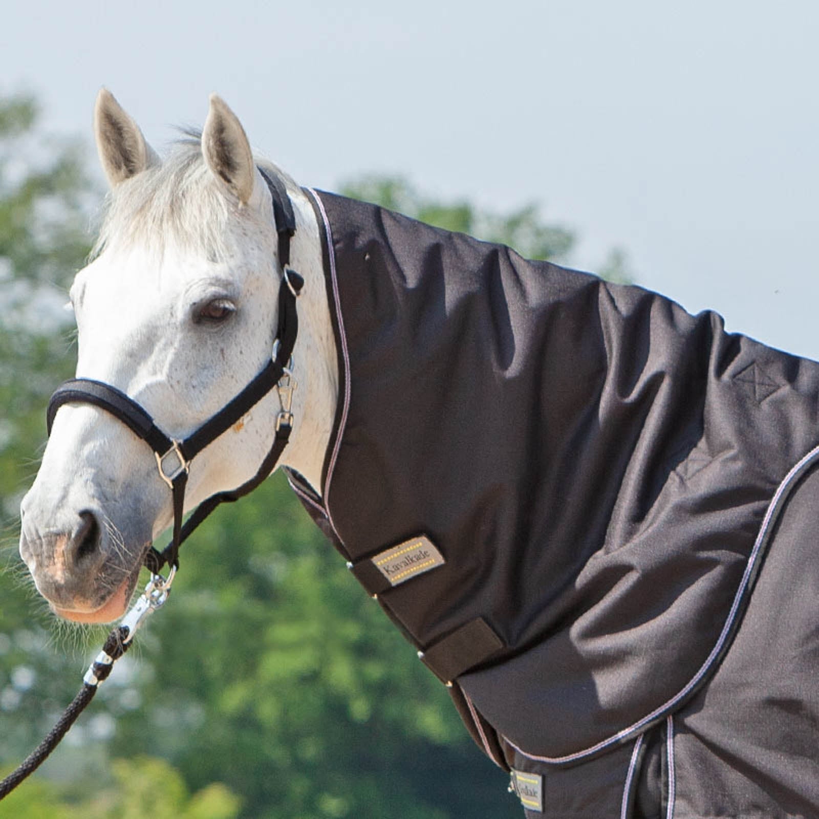 Kavalkade Neck for Alaska IV, 100 g Horse Rugs