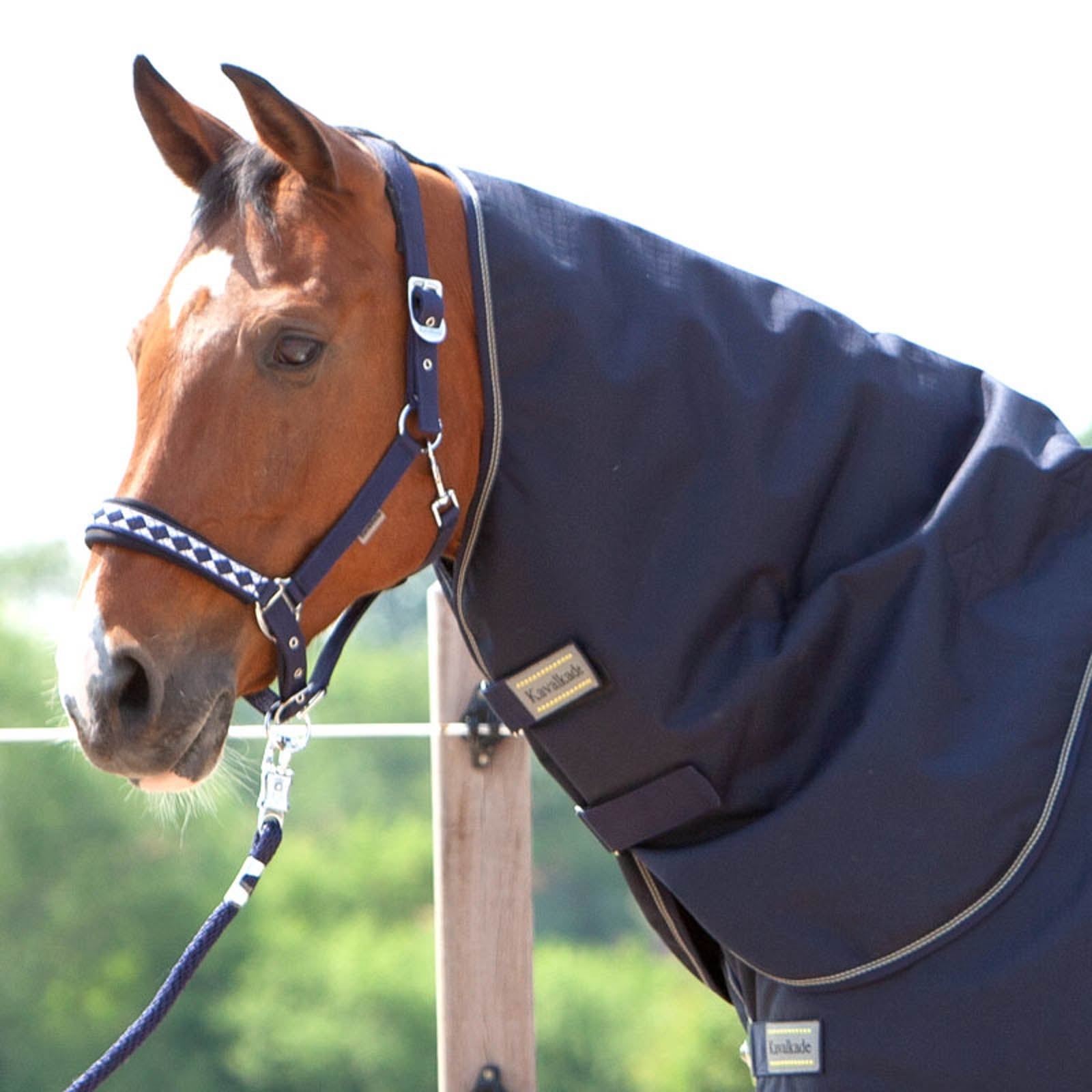 Kavalkade Neck for Montreal Turnout Rug, 100g Derki