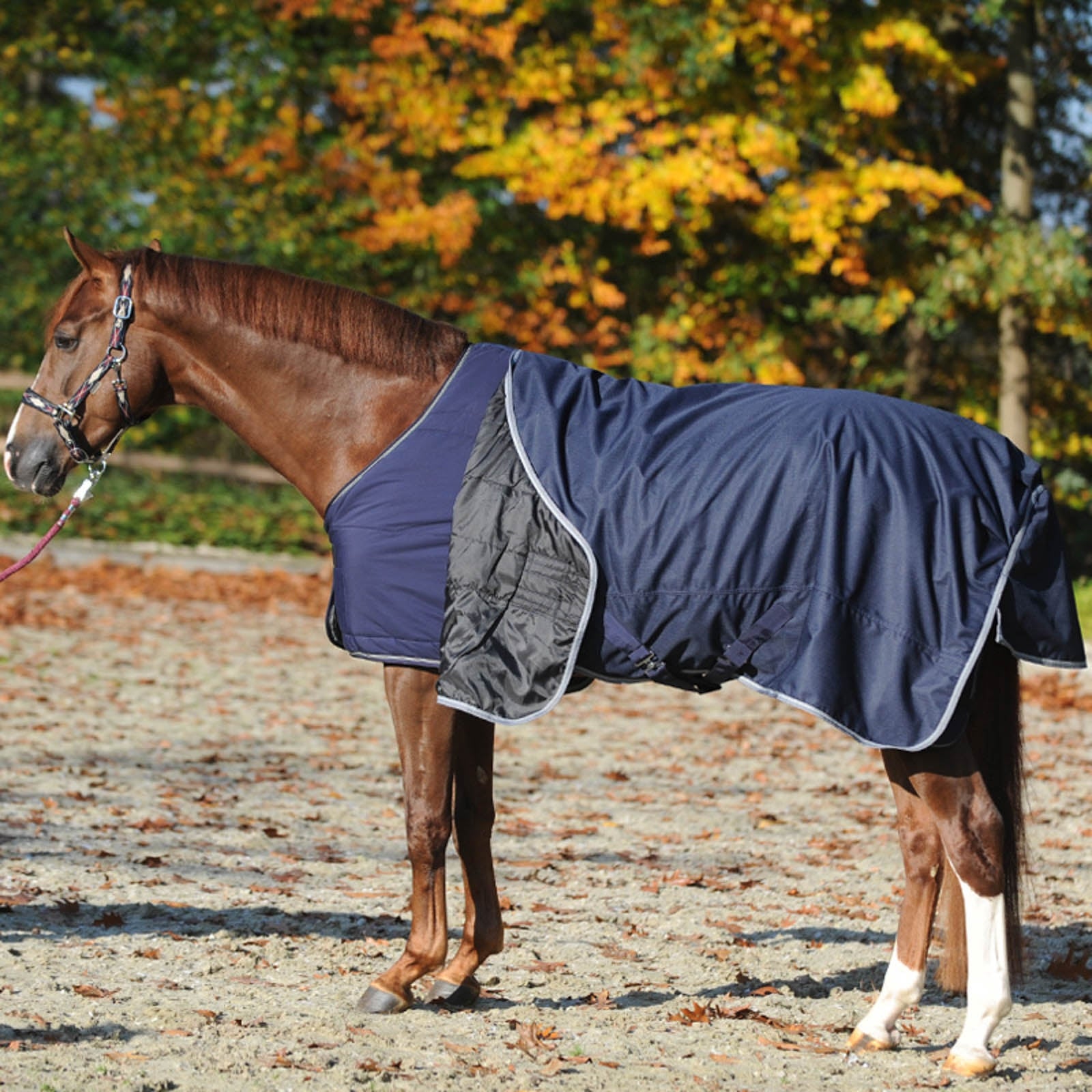 Kavalkade Under Rug 50g Derki