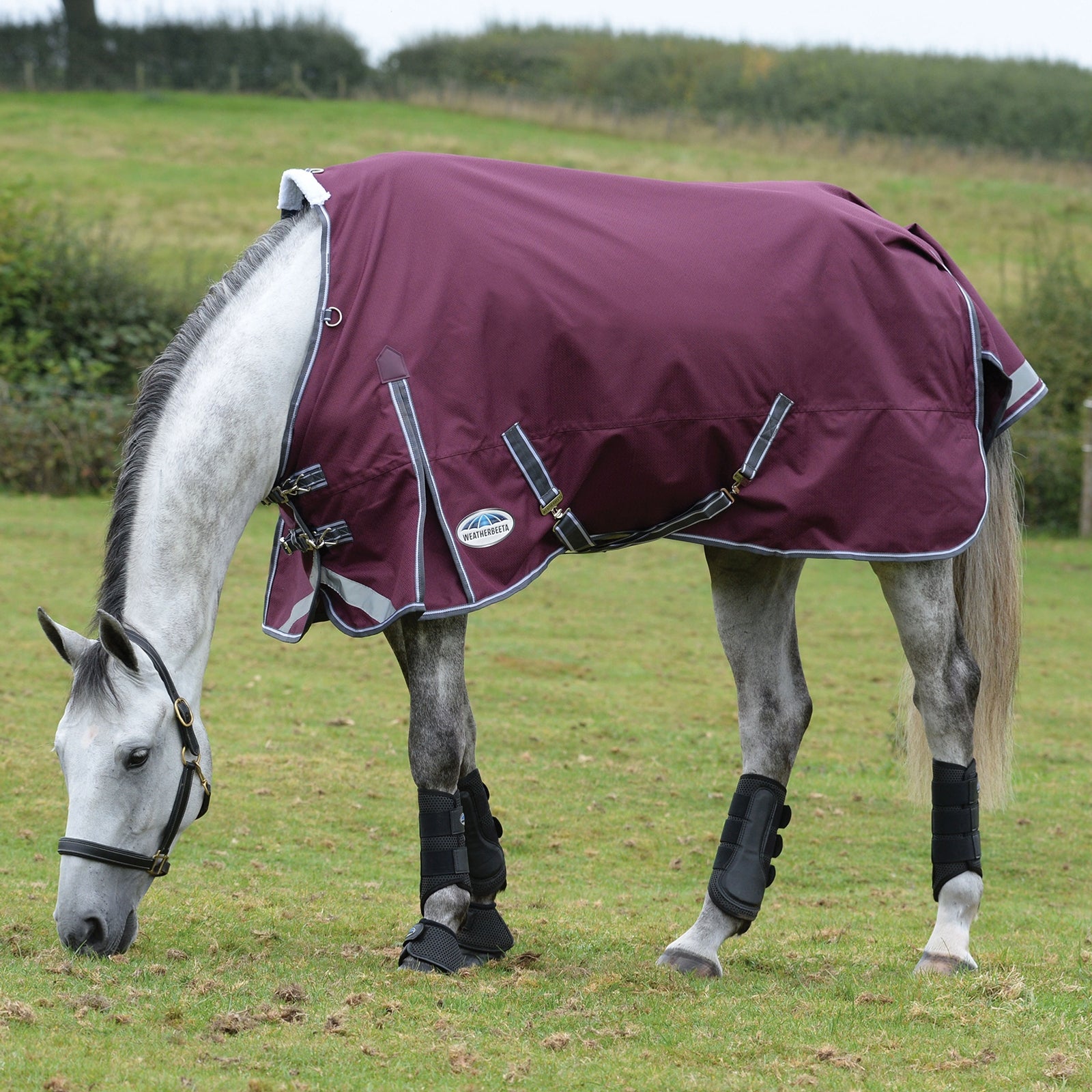 Weatherbeeta Comfitec Plus Dynamic II Turnout Rug, 100g Horse Rugs