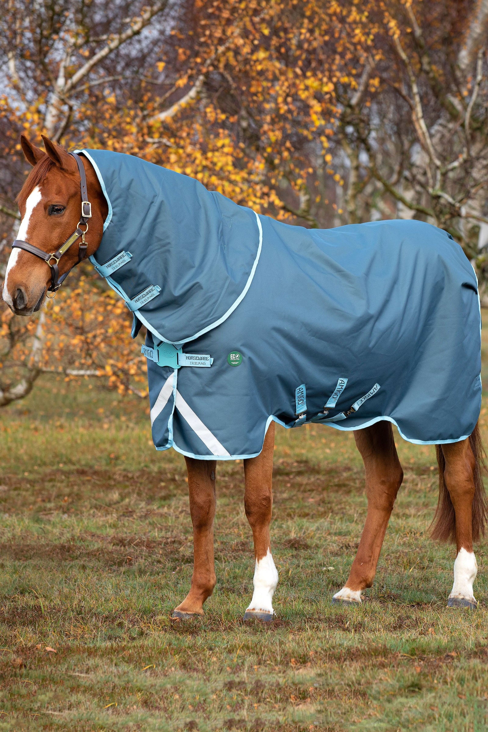 Horseware Derka padokowa Amigo AmEco 12 Plus z odpinanym kapturem, 250 g Derki