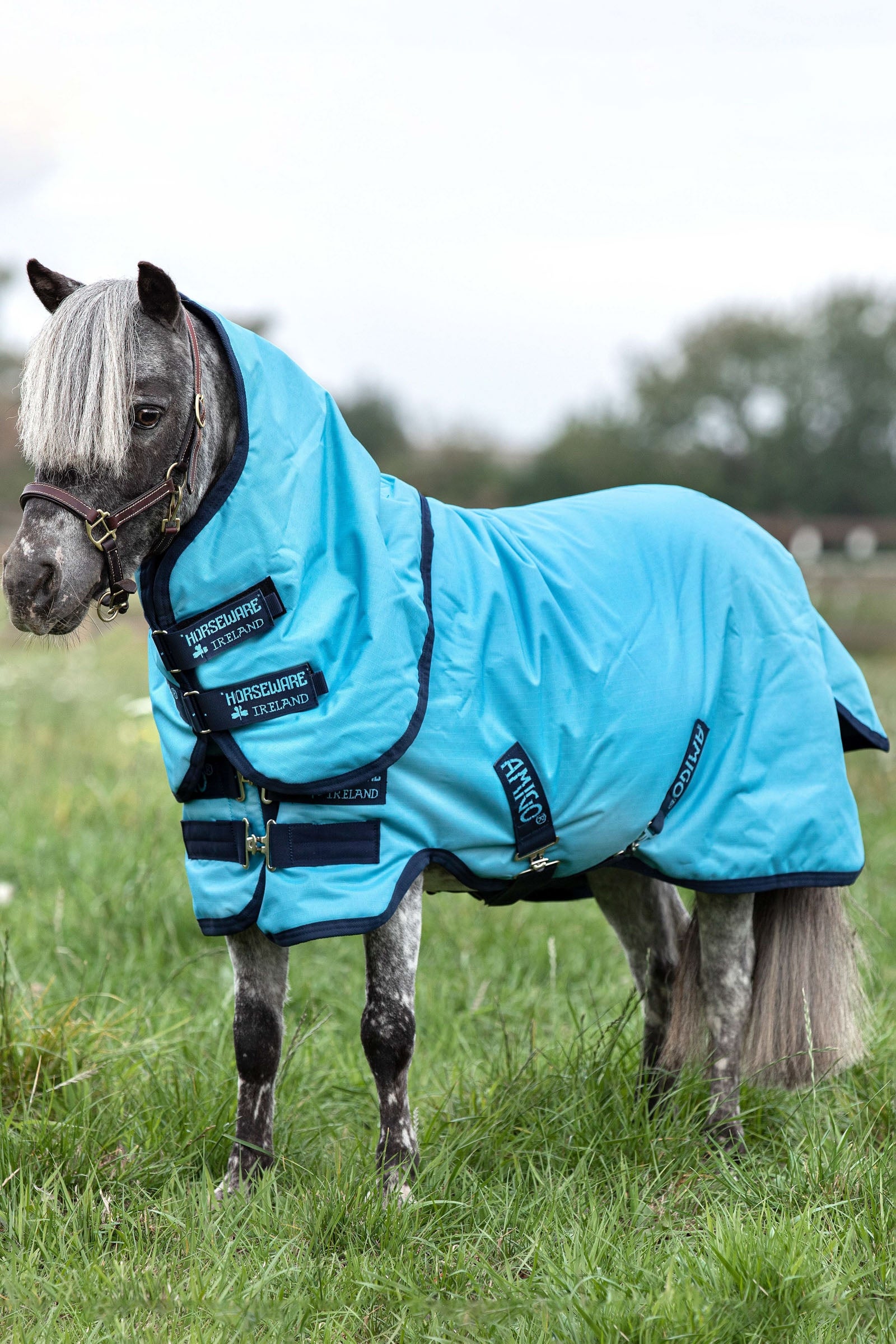 Horseware Amigo Hero 6 Petite Plus Turnout incl. Detachable Hood, 0g Horse Rugs