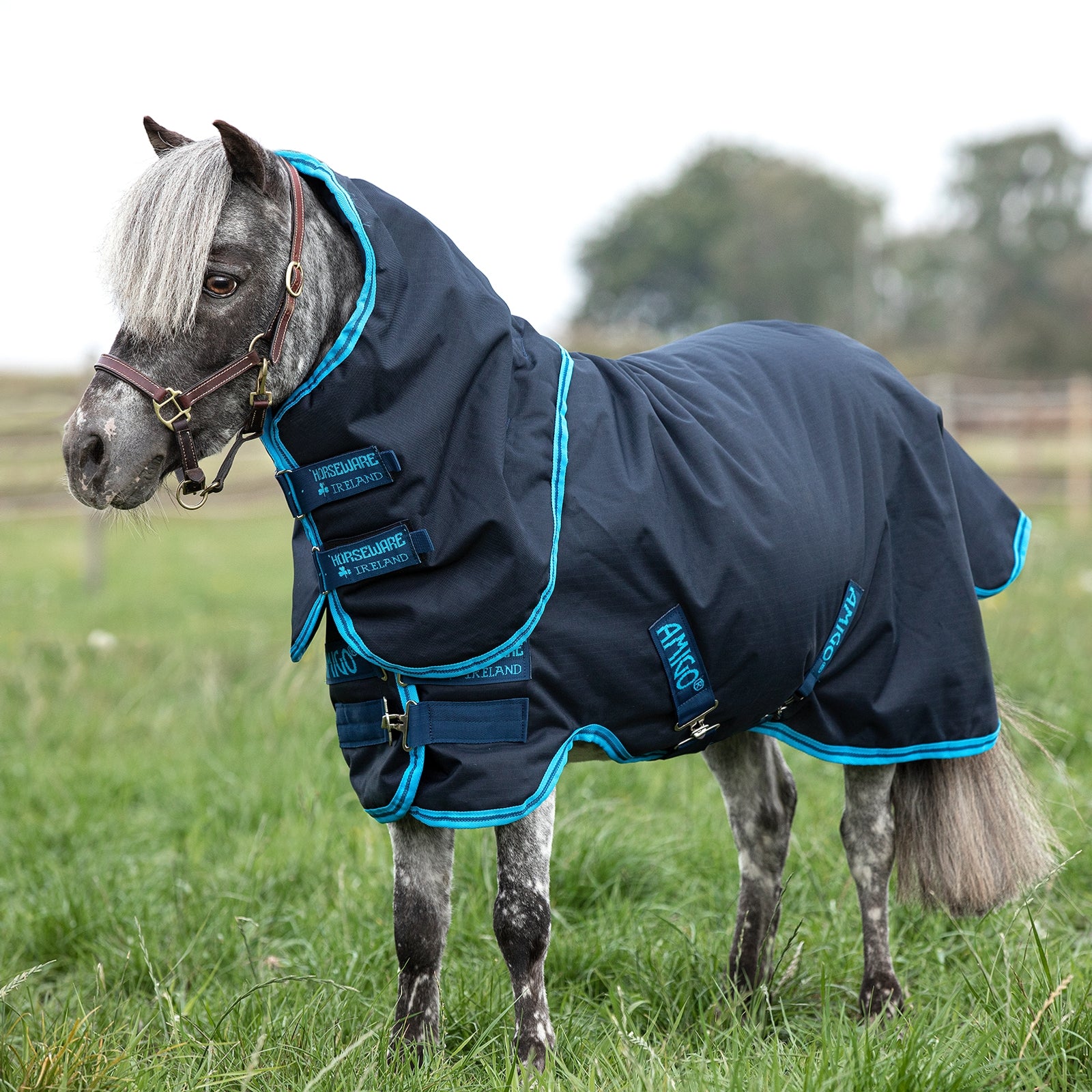 Horseware Derka padokowa dla kuca Amigo Hero 6 Petite Plus z odpinanym kapturem, 200 g Derki