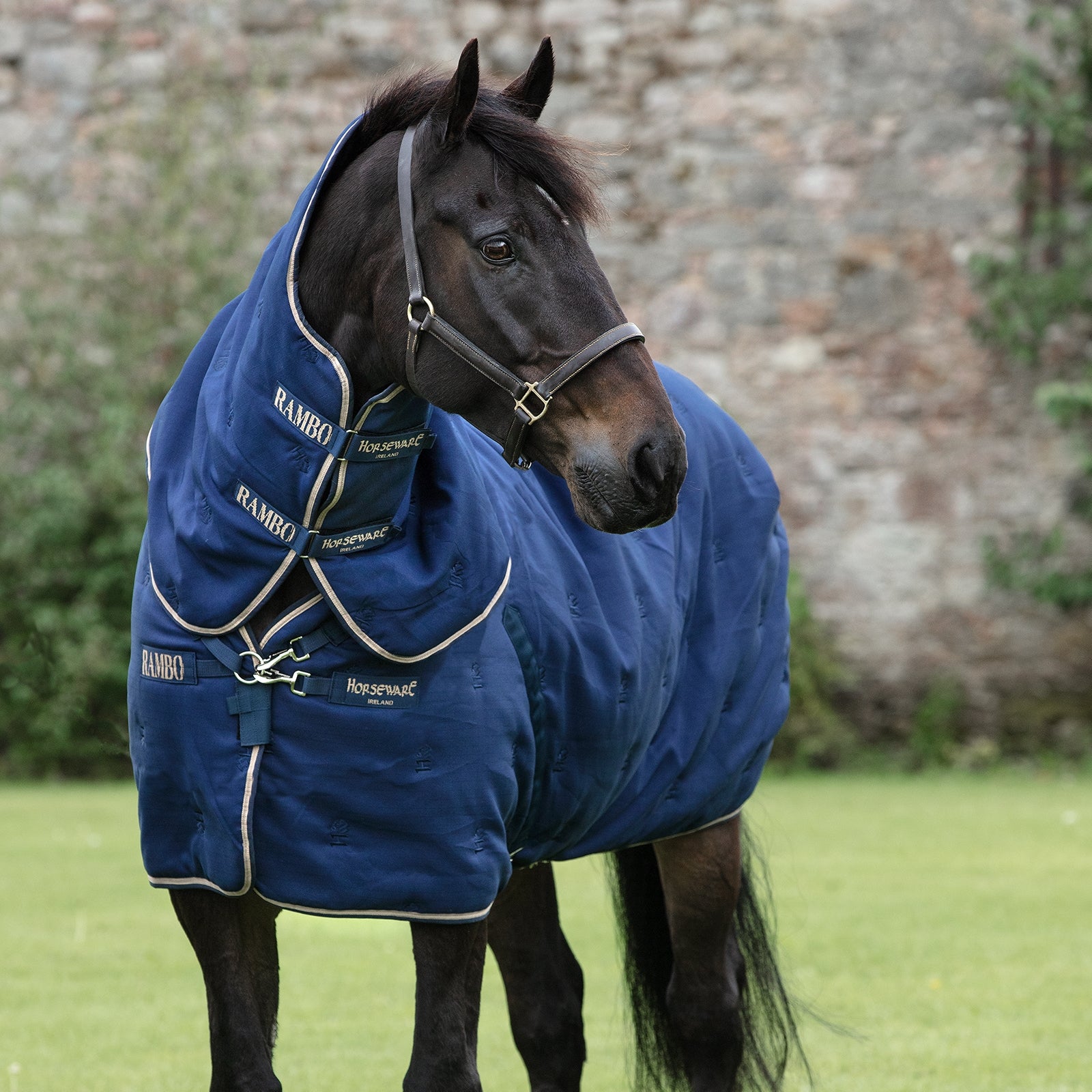 Horseware Derka stajenna Rambo Deluxe Plus z odpinanym kapturem, 200 g Derki