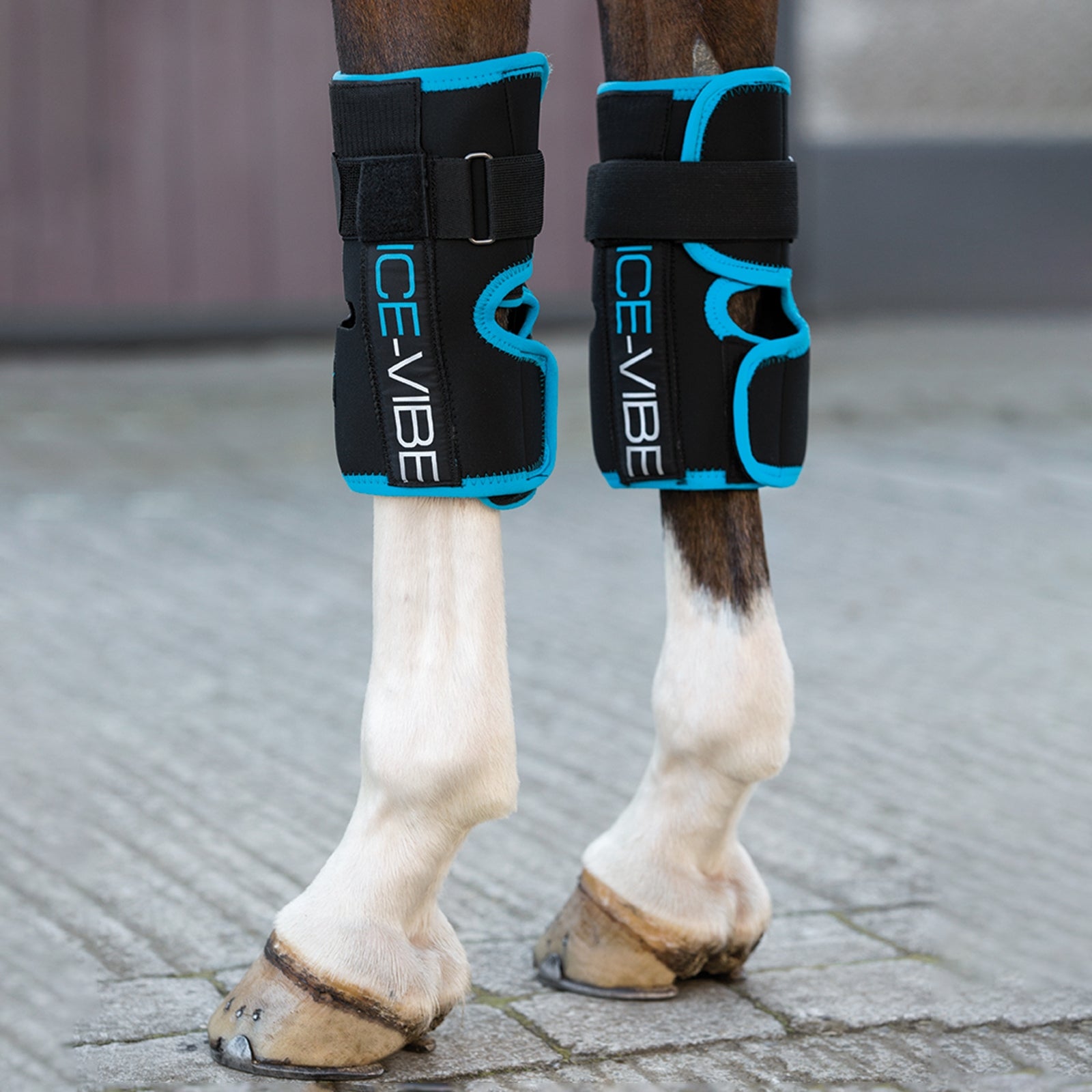 Horseware Ochraniacz chłodząco-wibrujący Ice-Vibe na staw kolanowy Zdrowie