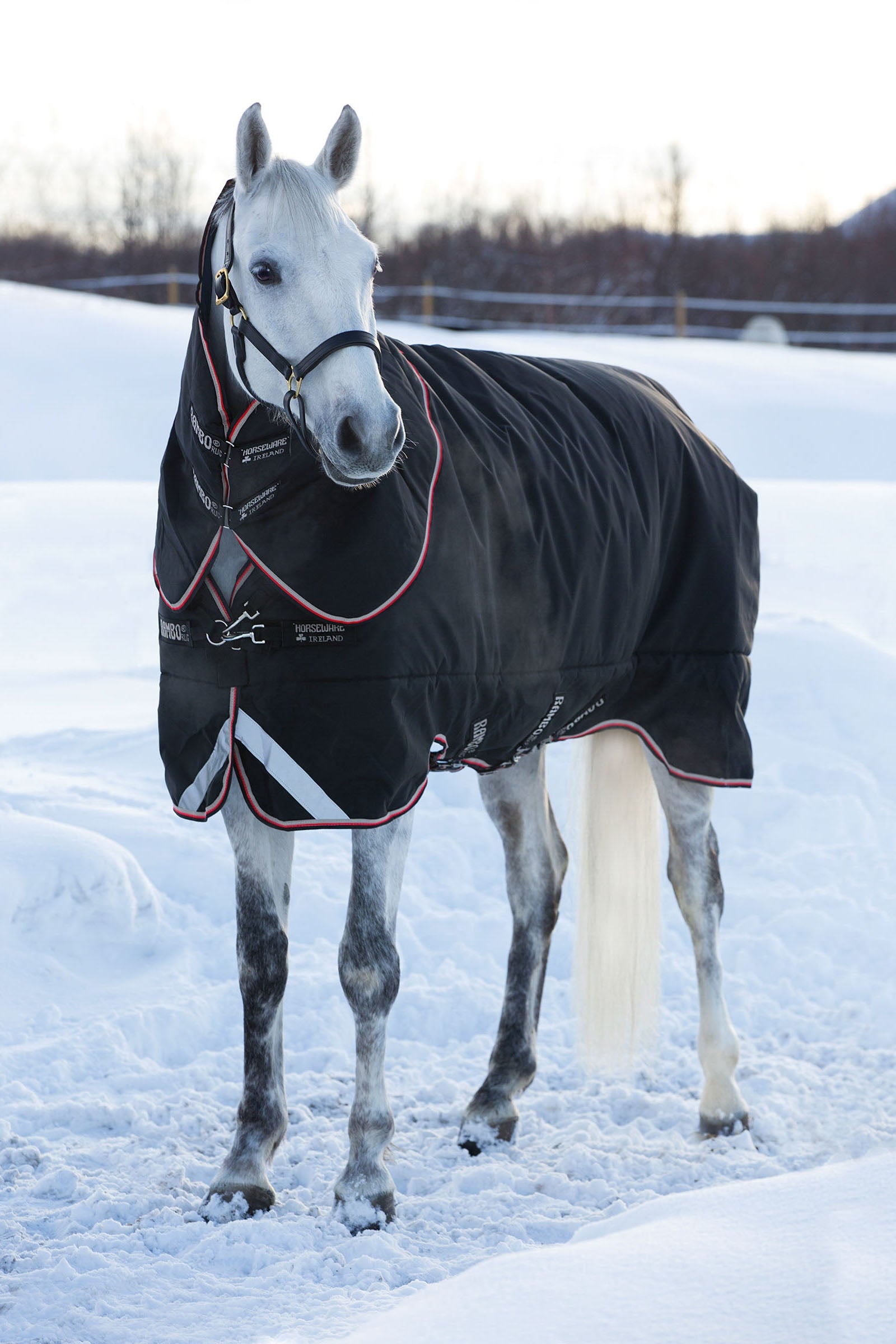 Horseware Rambo Supreme Turnout incl. Detachable Hood, 420g Horse Rugs