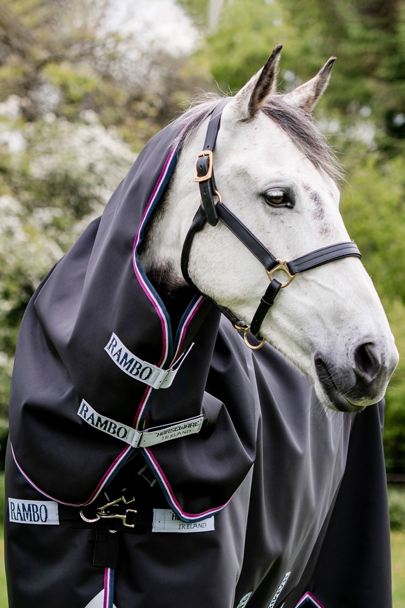 Horseware Rambo Supreme Hood, 0g Horse Rugs