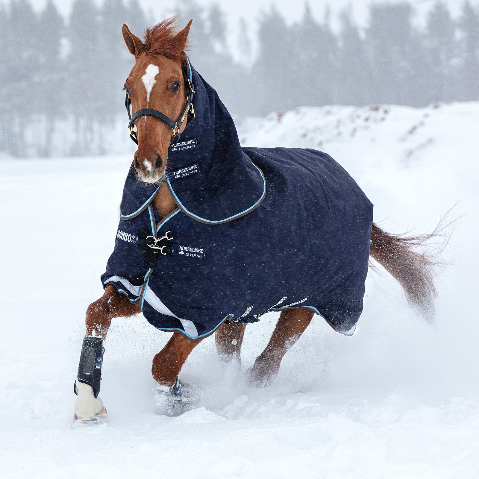 Horseware Derka padokowa Rambo Duo z odpinanym kapturem, 100 g Derki