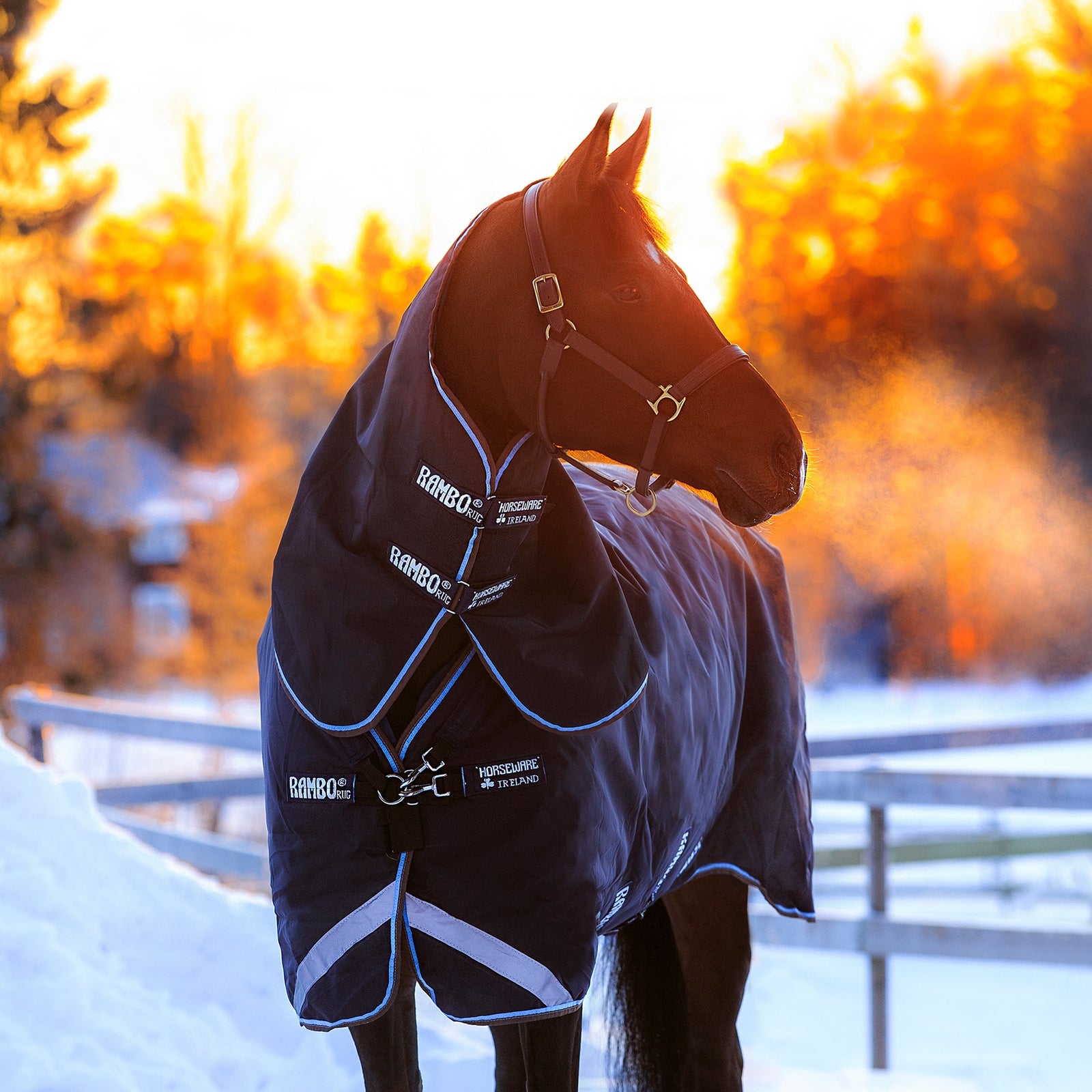 Horseware Rambo Duo Turnout incl. Detachable Hood, 100g Horse Rugs