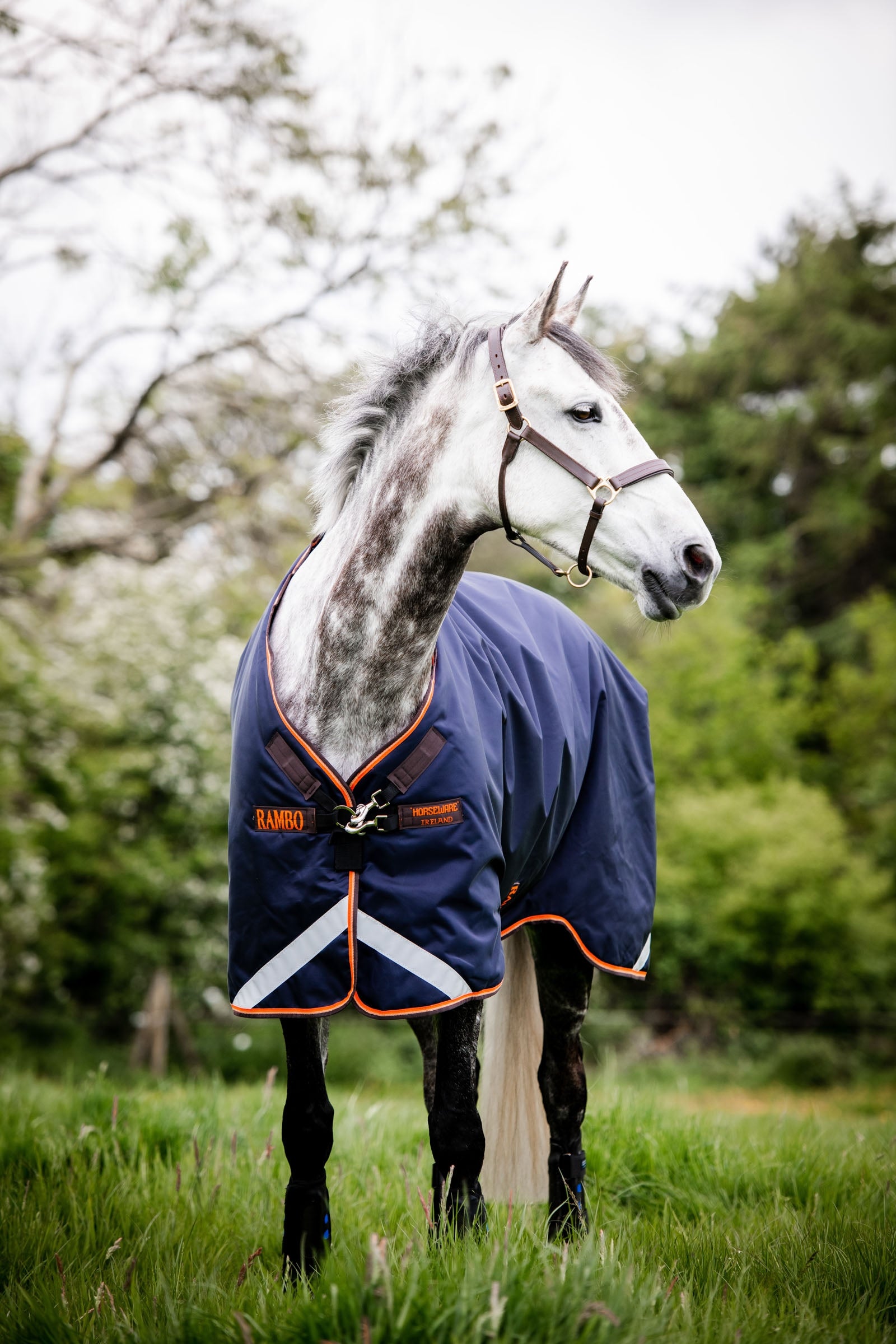 Horseware Derka padokowa Rambo Original z wycięciami na nogi, 100 g Derki