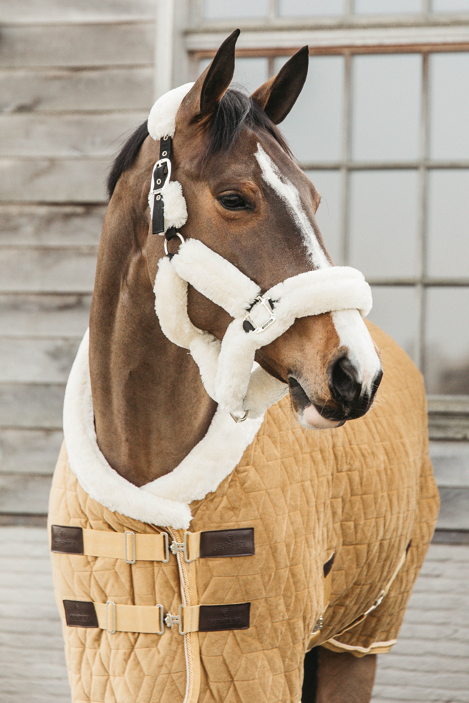 Kentucky Horsewear Aksamitna derka na zawody Kentucky Velvet, 160 g Derki